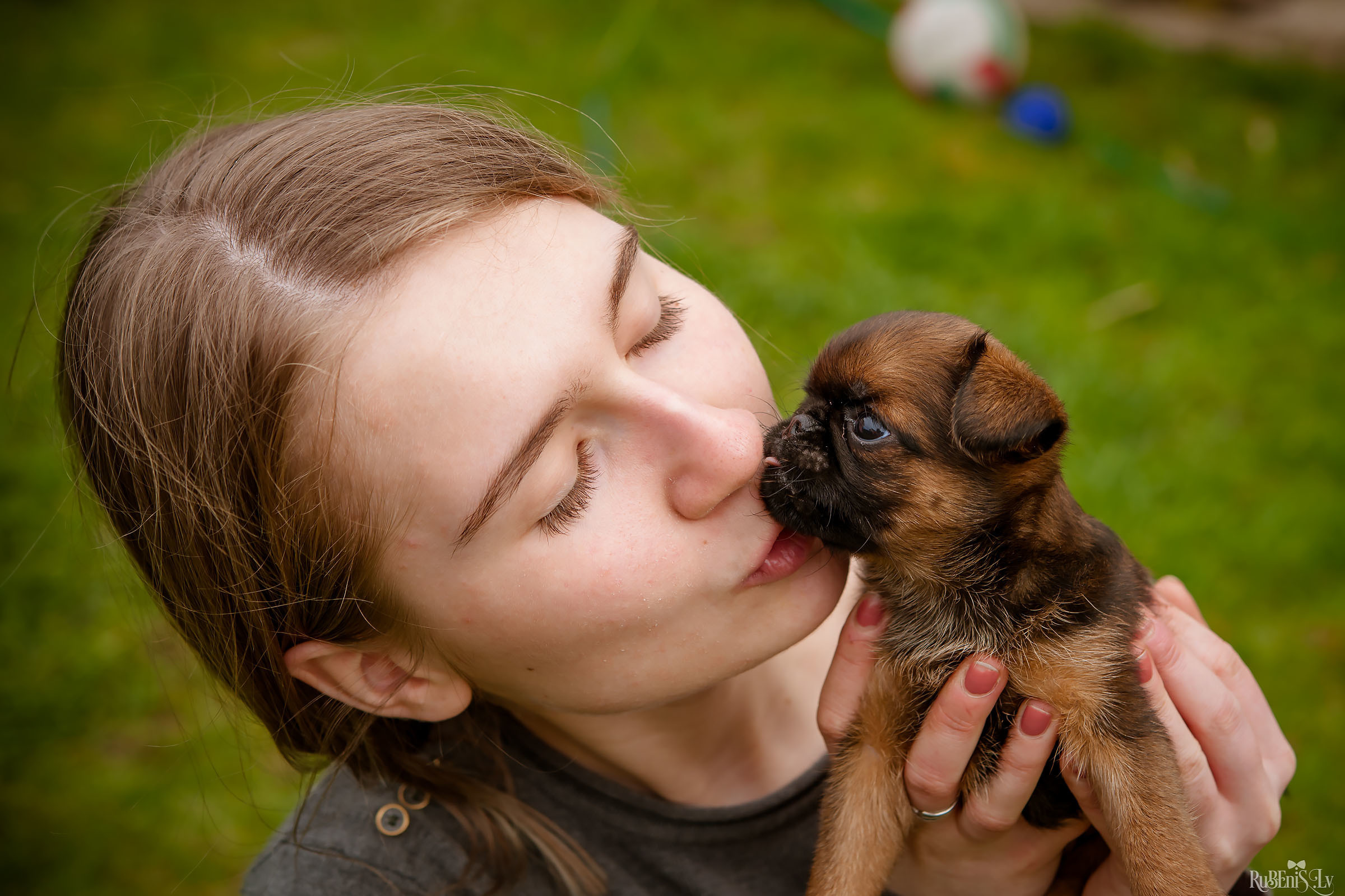 Анна и Марта / Корги и Гриффоны. Фотограф Ромуальд Рубенис и Артемий Сташанс