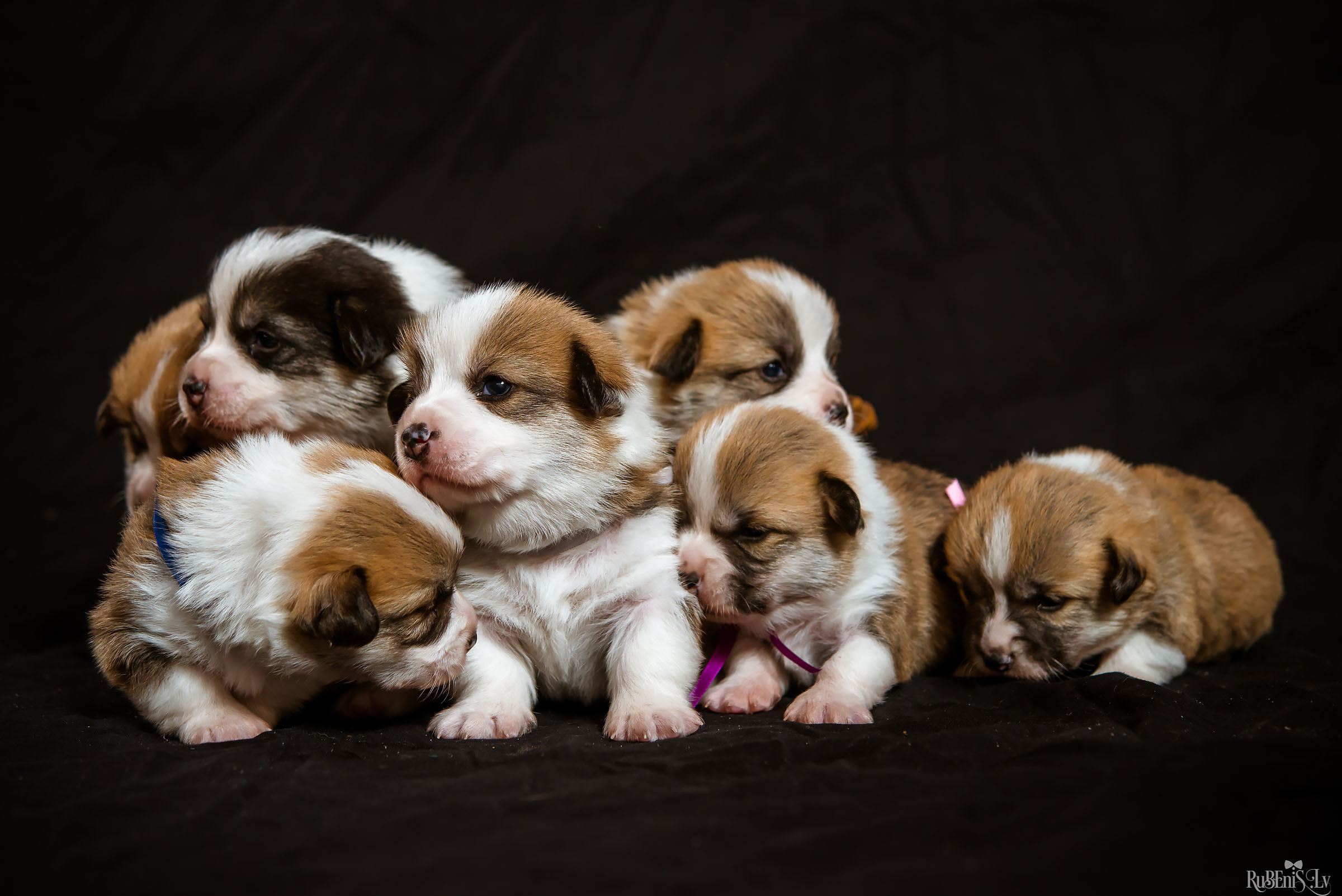 Fotogrāfs Romualds Rubenis un Artemijs Stašāns