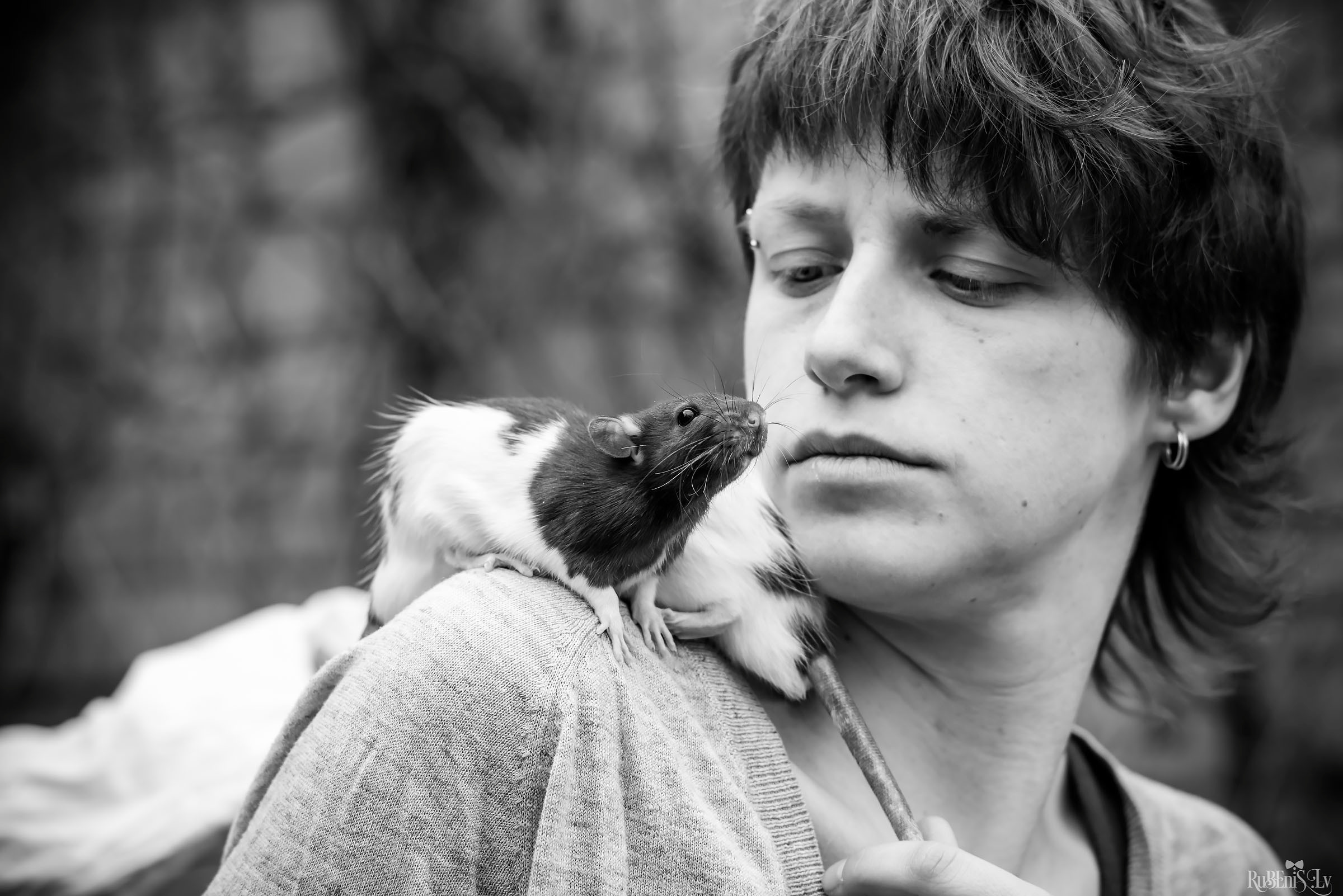 Анна и Марта / Корги и Гриффоны. Фотограф Ромуальд Рубенис и Артемий Сташанс