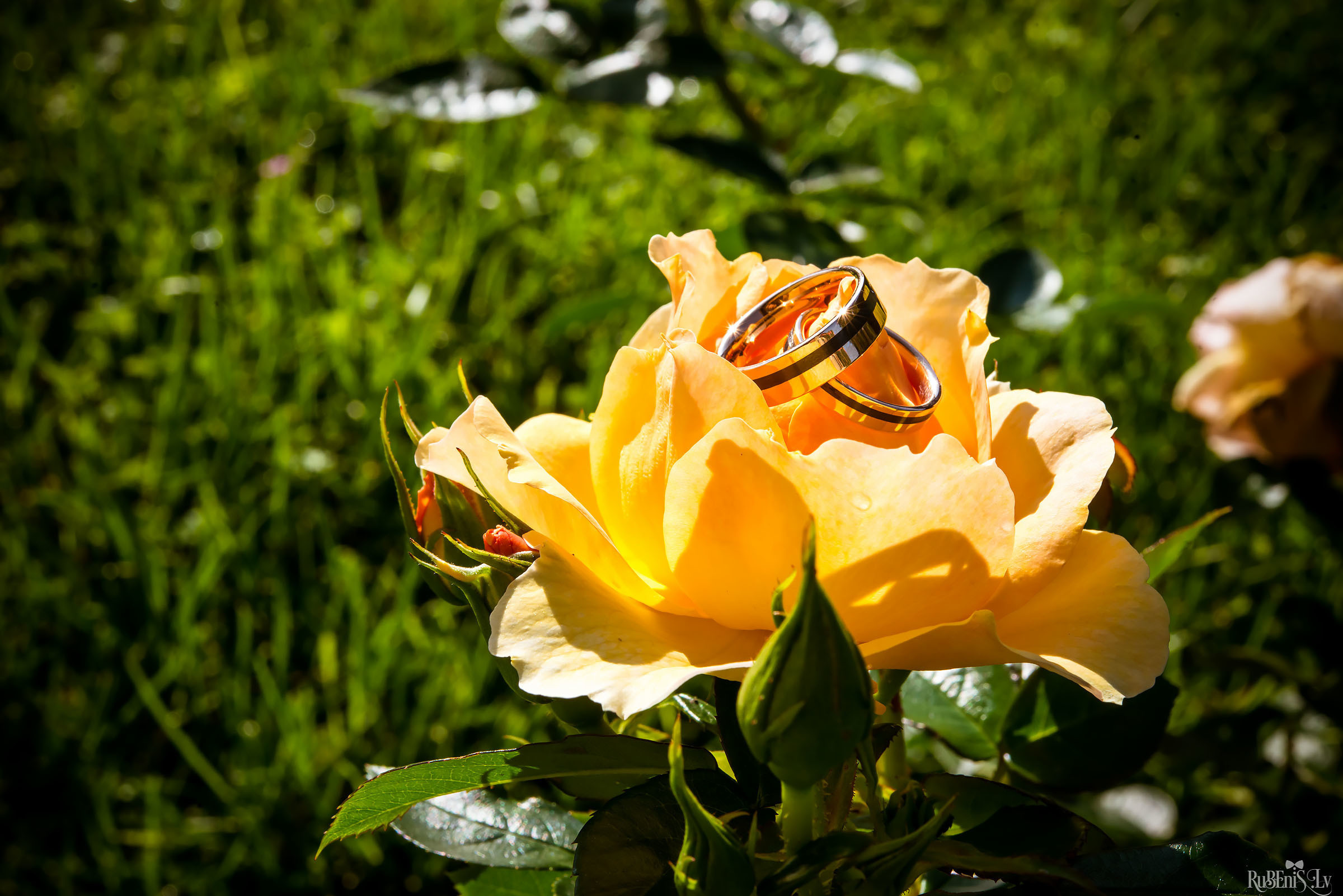 Veronika un Ivars. Fotogrāfs Romualds Rubenis un Artemijs Stašāns