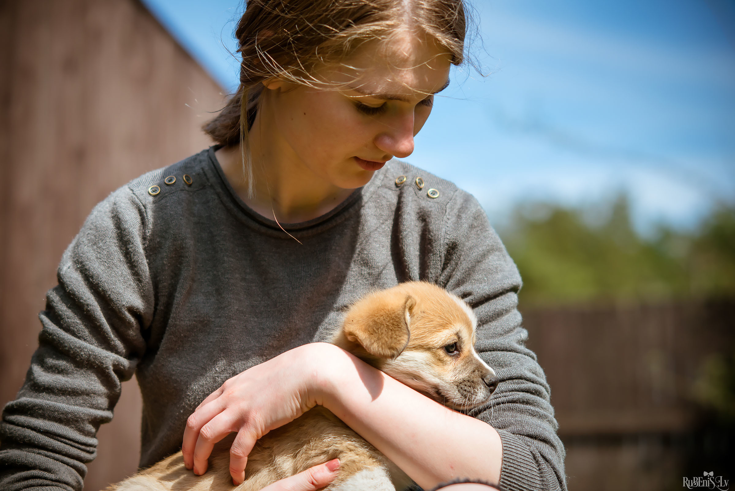 Анна и Марта / Корги и Гриффоны. Фотограф Ромуальд Рубенис и Артемий Сташанс