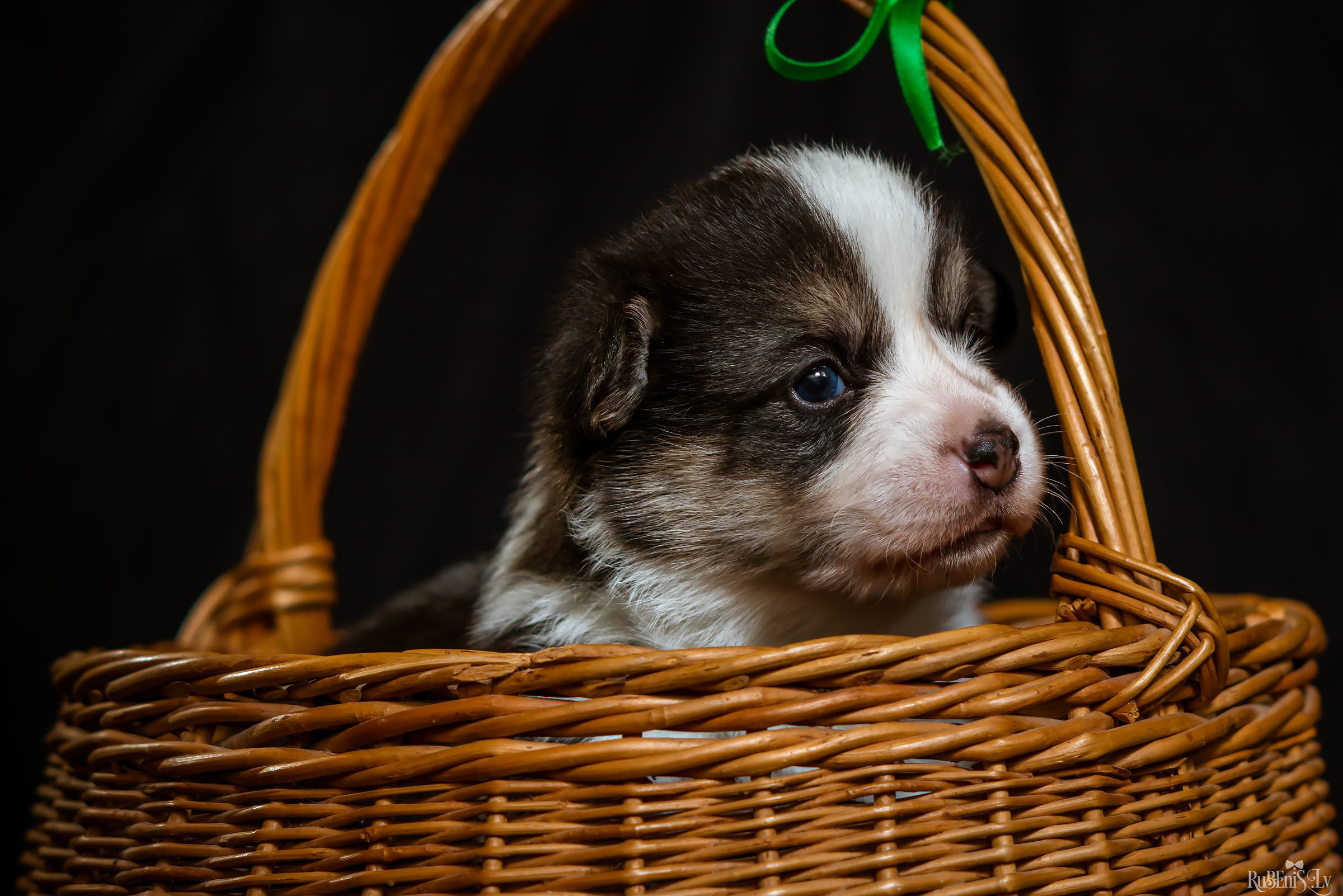 Fotogrāfs Romualds Rubenis un Artemijs Stašāns