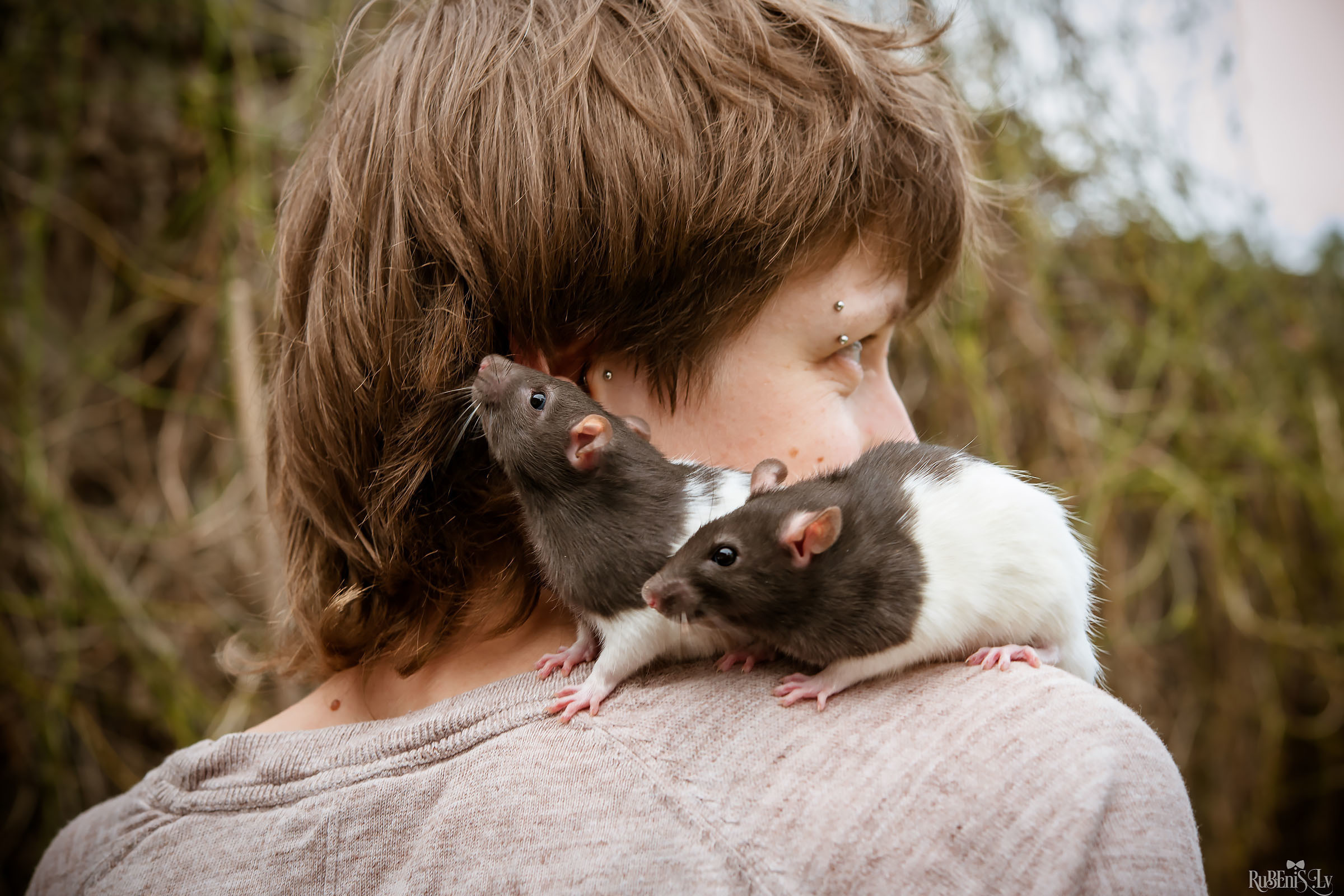 Анна и Марта / Корги и Гриффоны. Фотограф Ромуальд Рубенис и Артемий Сташанс