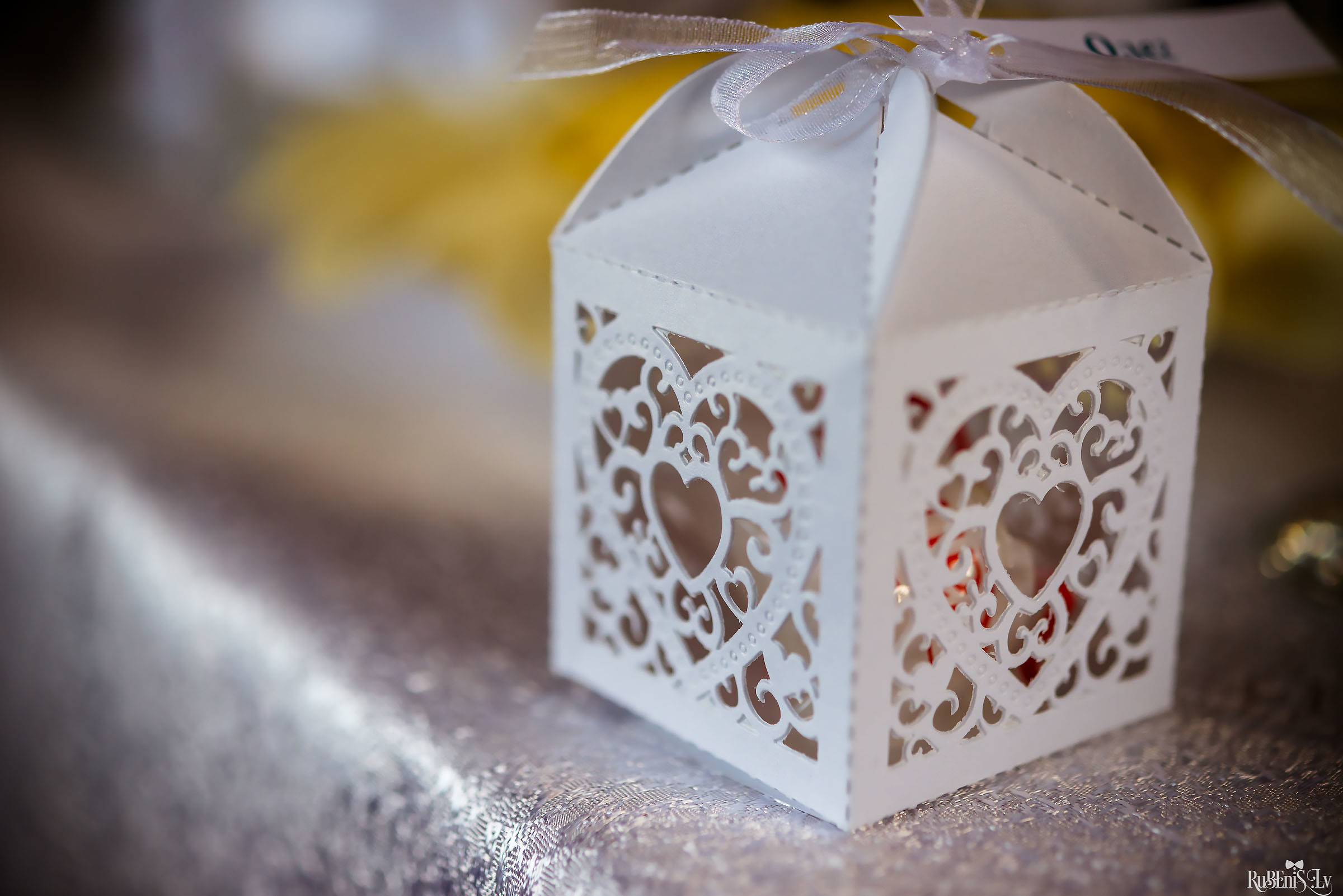 Julija un Edgars. Fotogrāfs Romualds Rubenis un Artemijs Stašāns