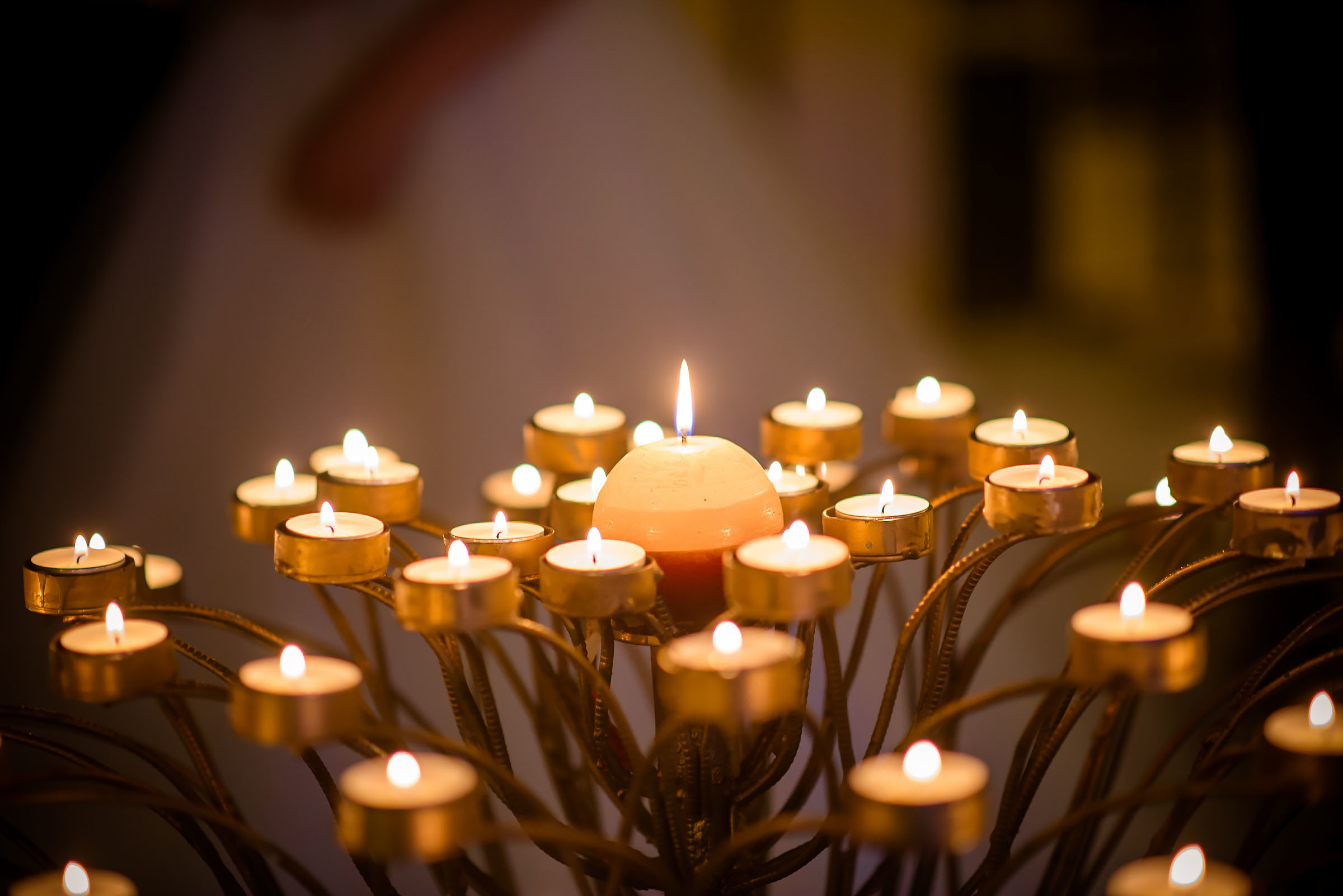 Stefani un Edvins. Fotogrāfs Romualds Rubenis un Artemijs Stašāns