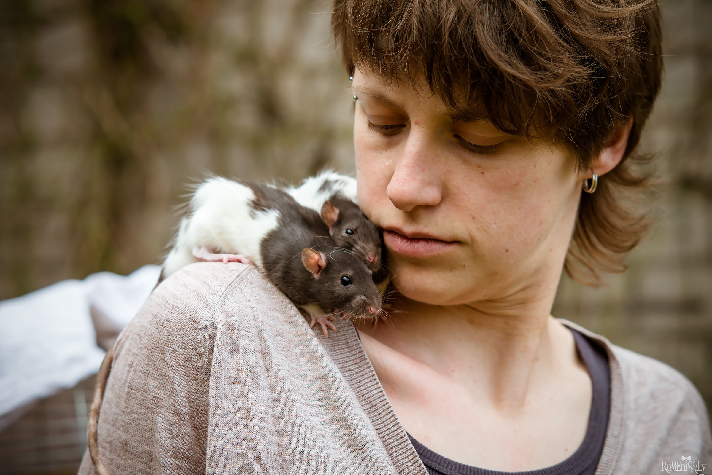 Анна и Марта / Корги и Гриффоны. Фотограф Ромуальд Рубенис и Артемий Сташанс