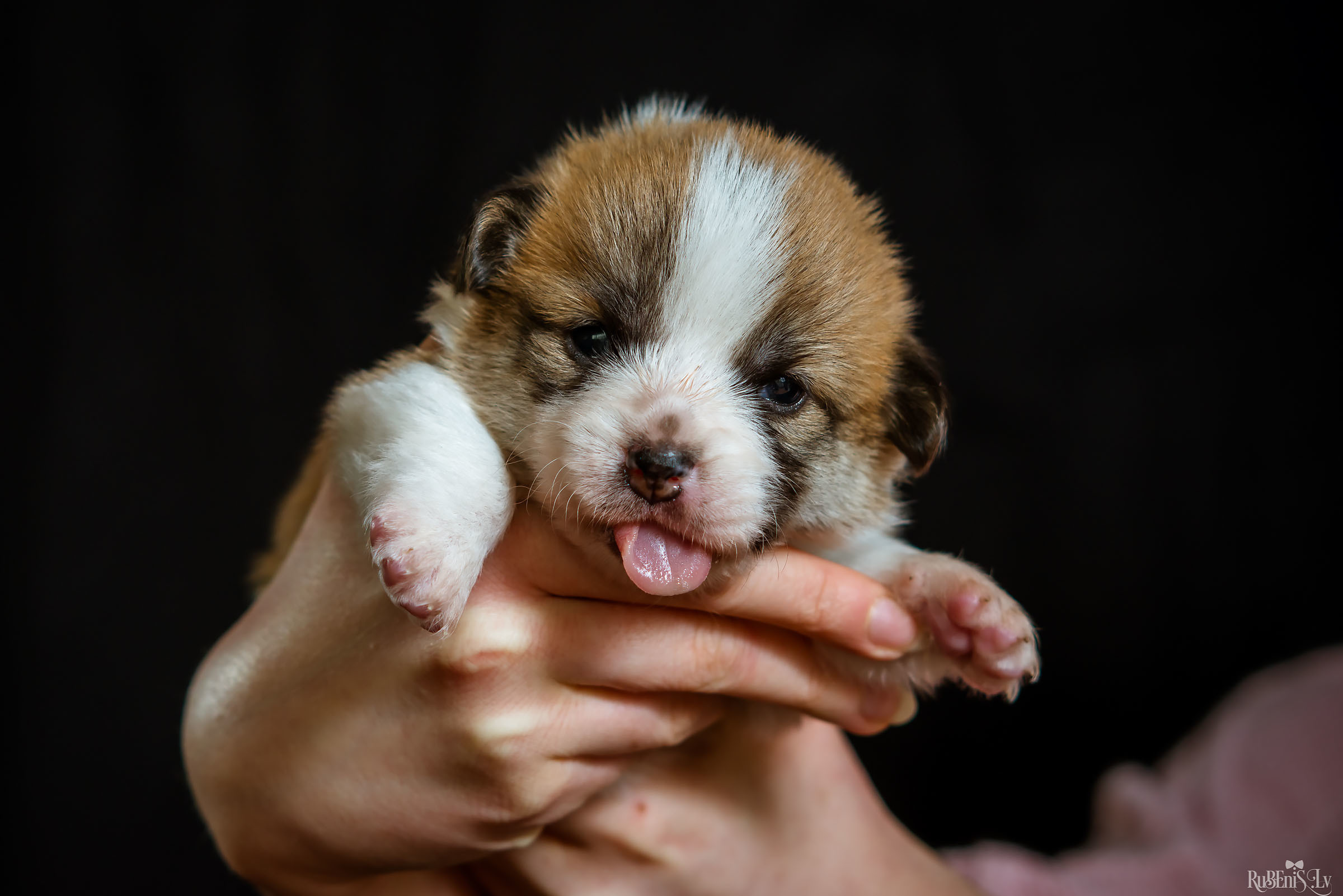 Fotogrāfs Romualds Rubenis un Artemijs Stašāns