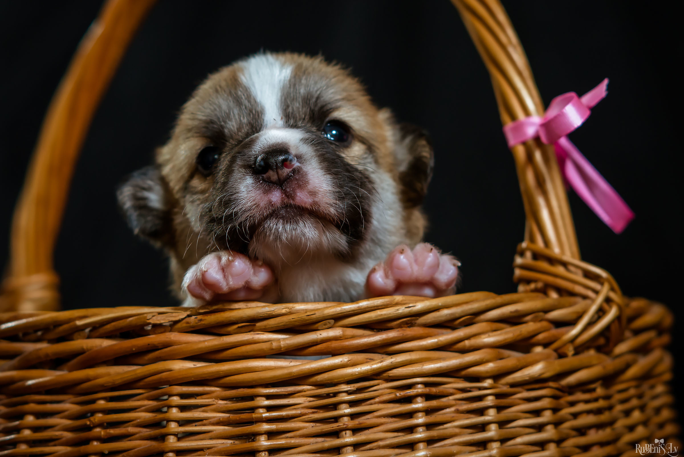 Fotogrāfs Romualds Rubenis un Artemijs Stašāns