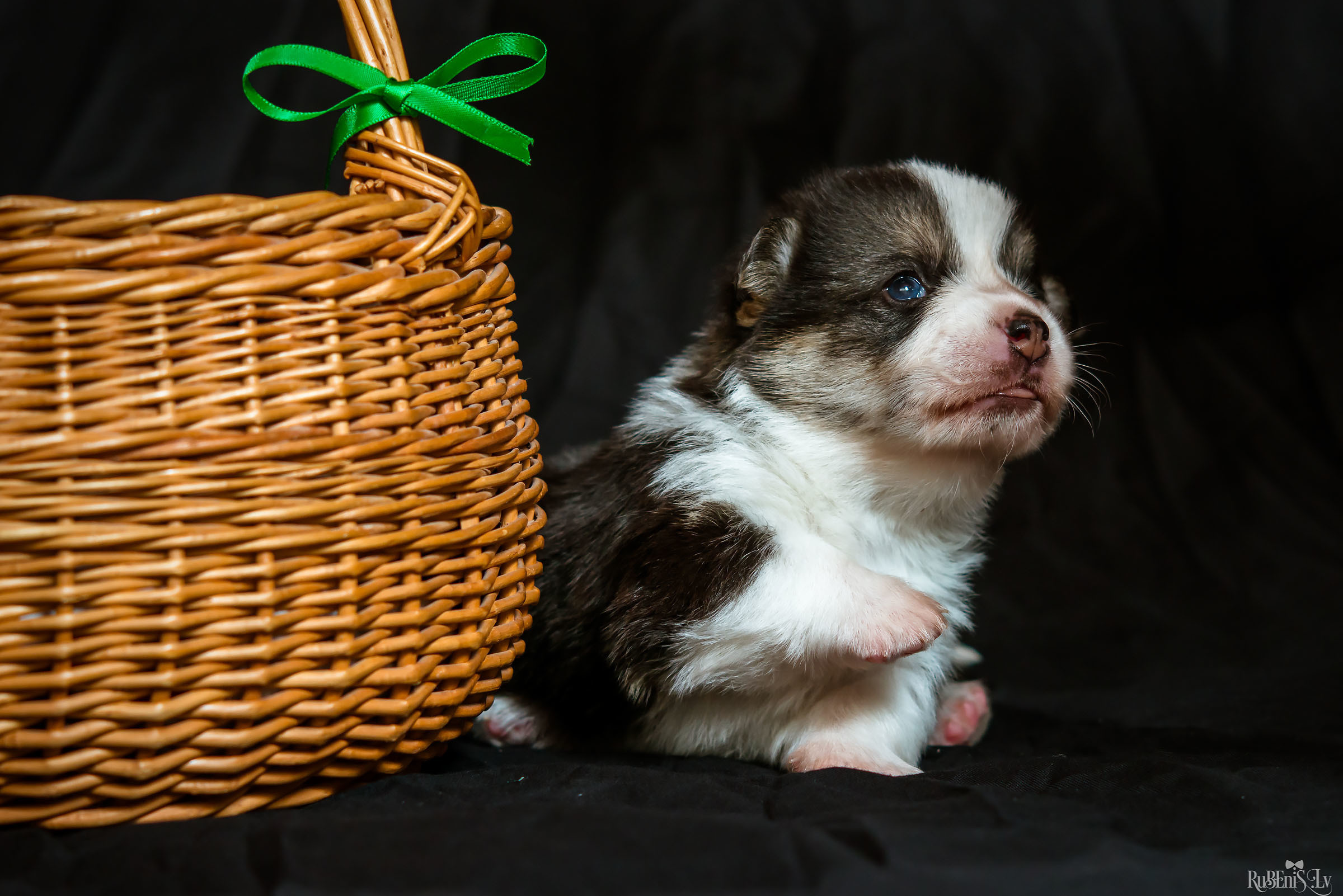 Fotogrāfs Romualds Rubenis un Artemijs Stašāns