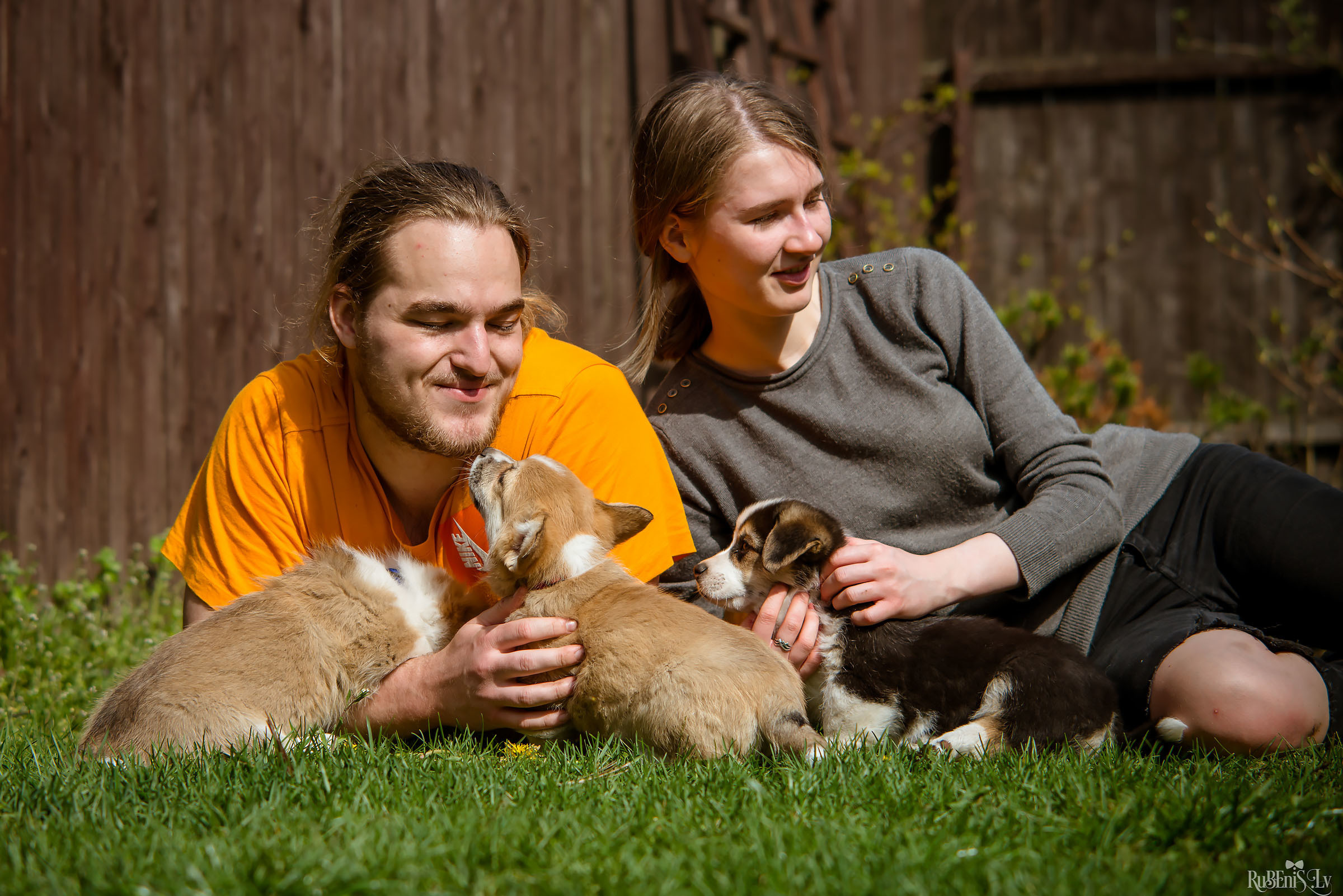 Анна и Марта / Корги и Гриффоны. Фотограф Ромуальд Рубенис и Артемий Сташанс