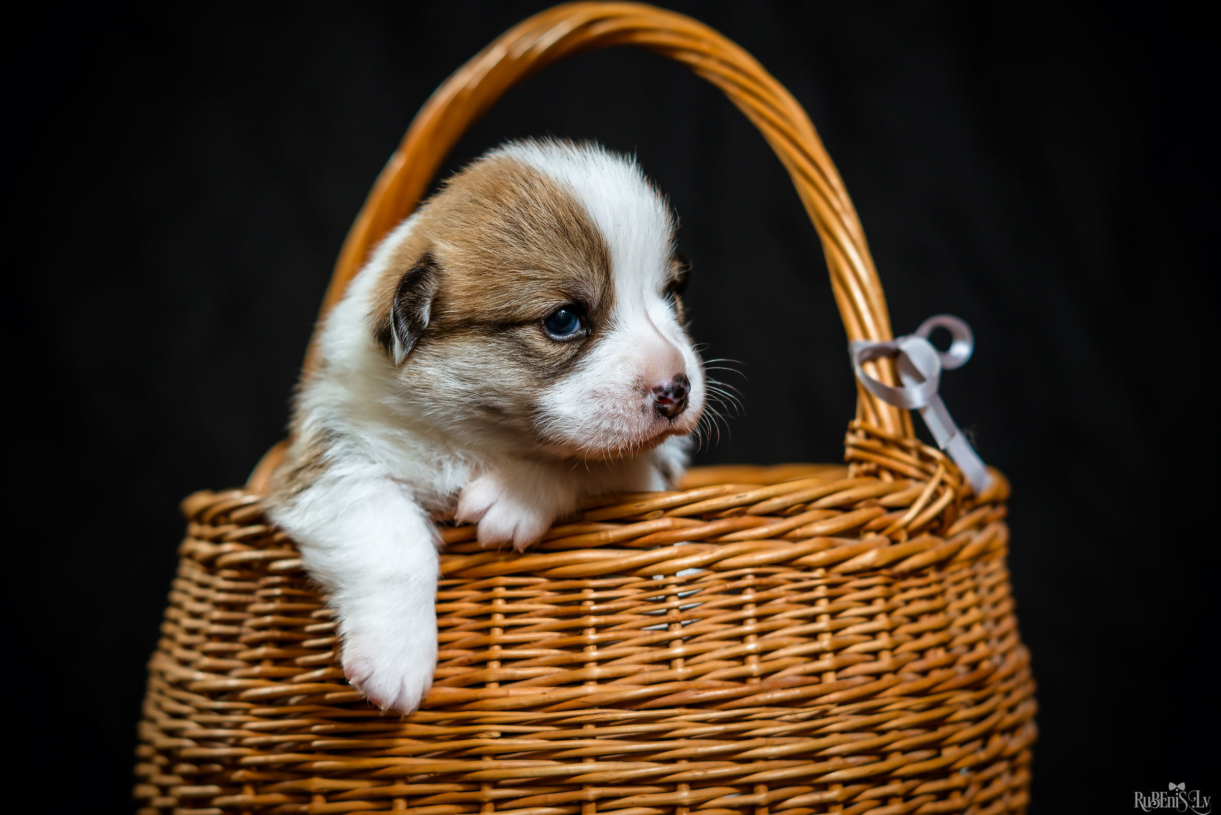 Fotogrāfs Romualds Rubenis un Artemijs Stašāns