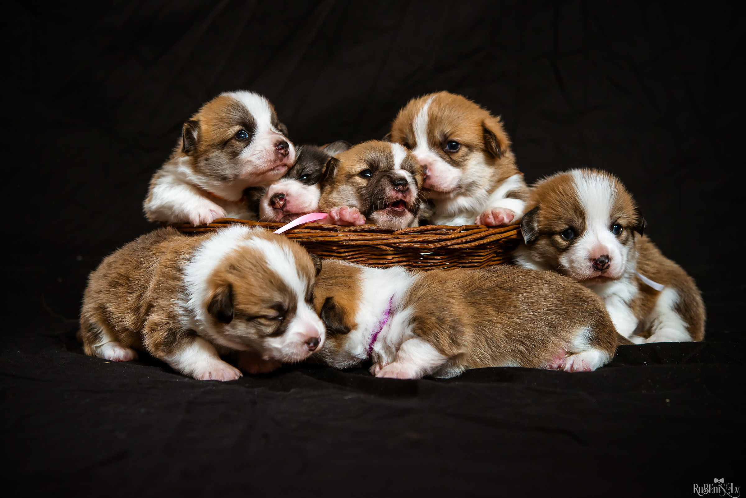 Fotogrāfs Romualds Rubenis un Artemijs Stašāns