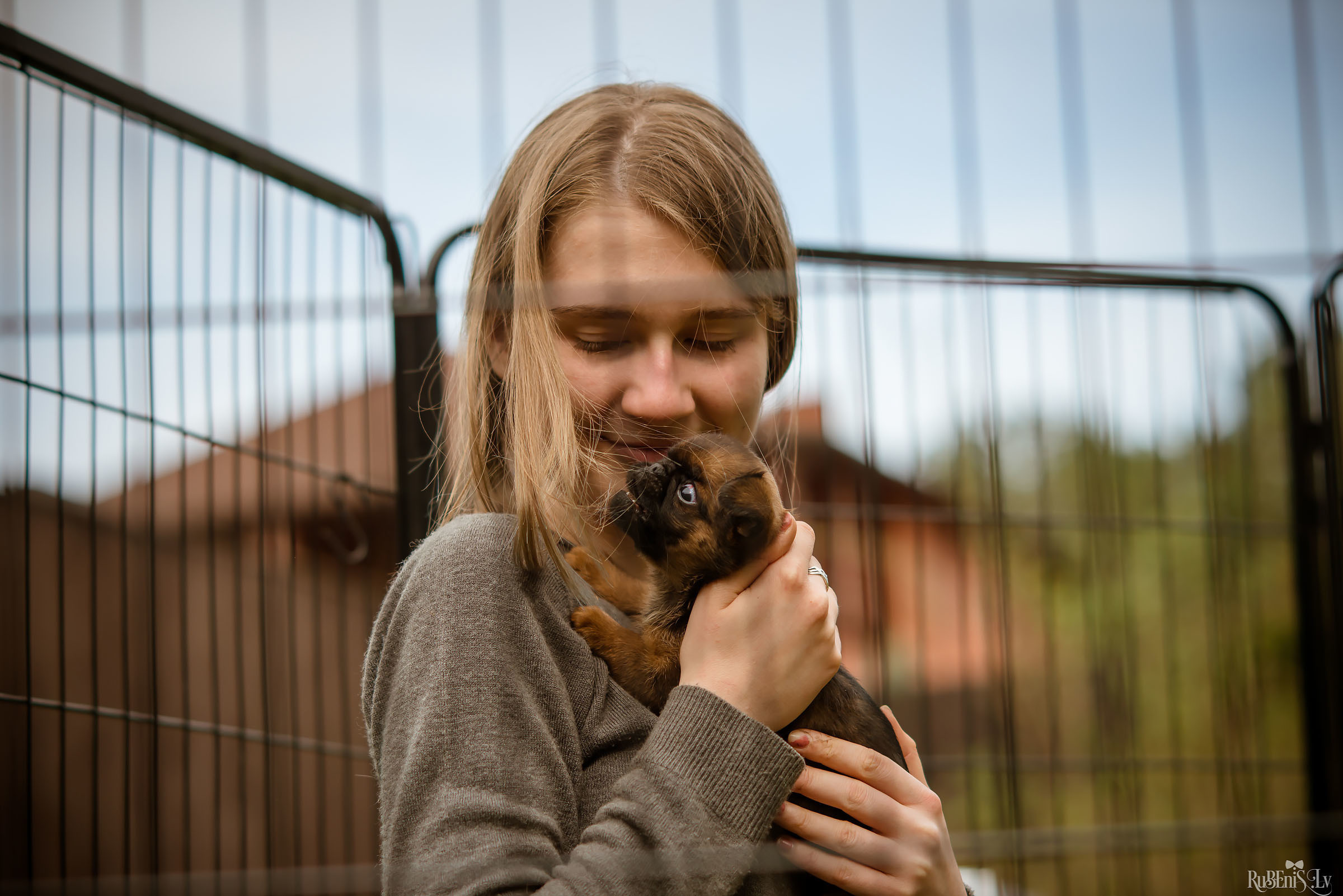 Анна и Марта / Корги и Гриффоны. Фотограф Ромуальд Рубенис и Артемий Сташанс