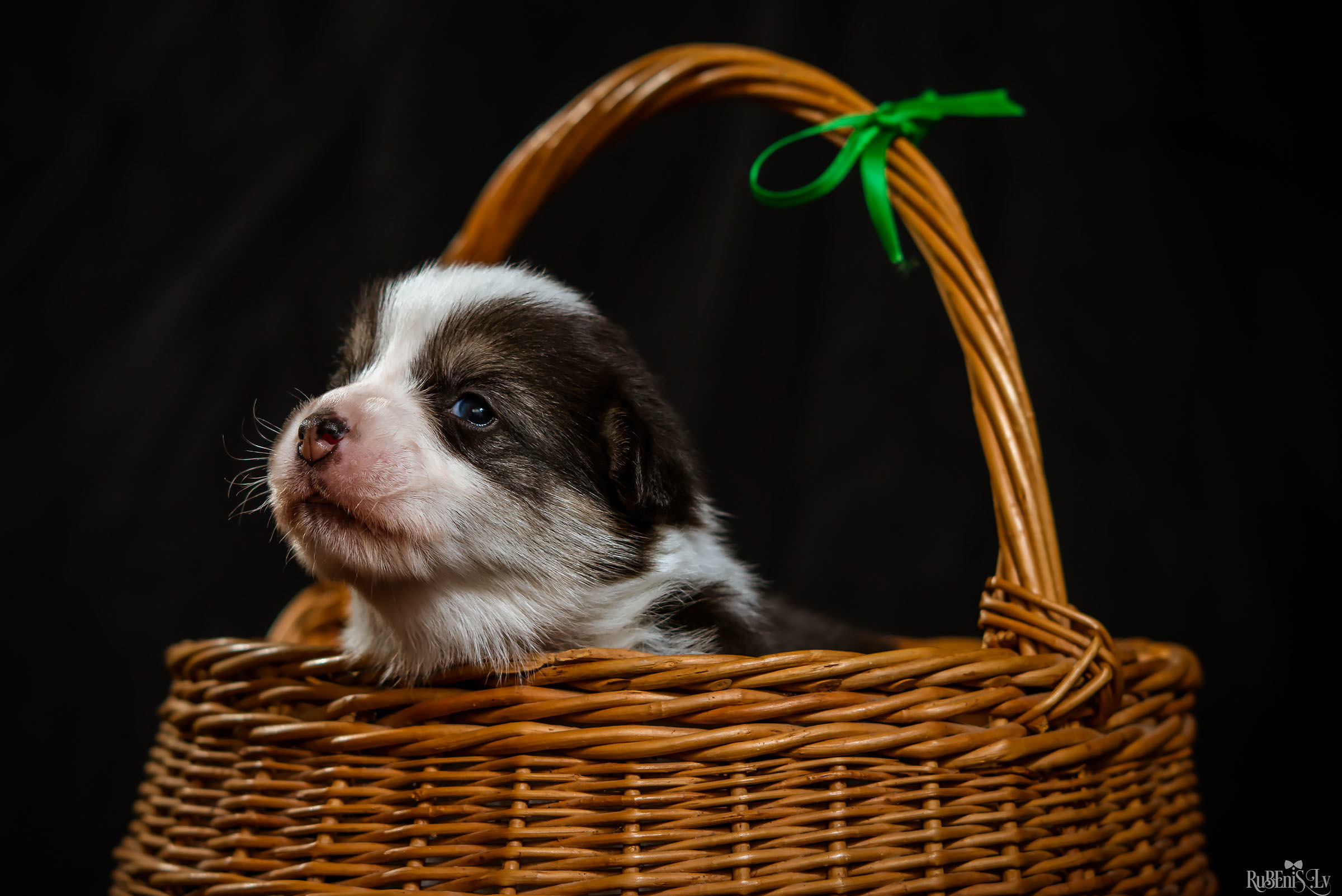Fotogrāfs Romualds Rubenis un Artemijs Stašāns