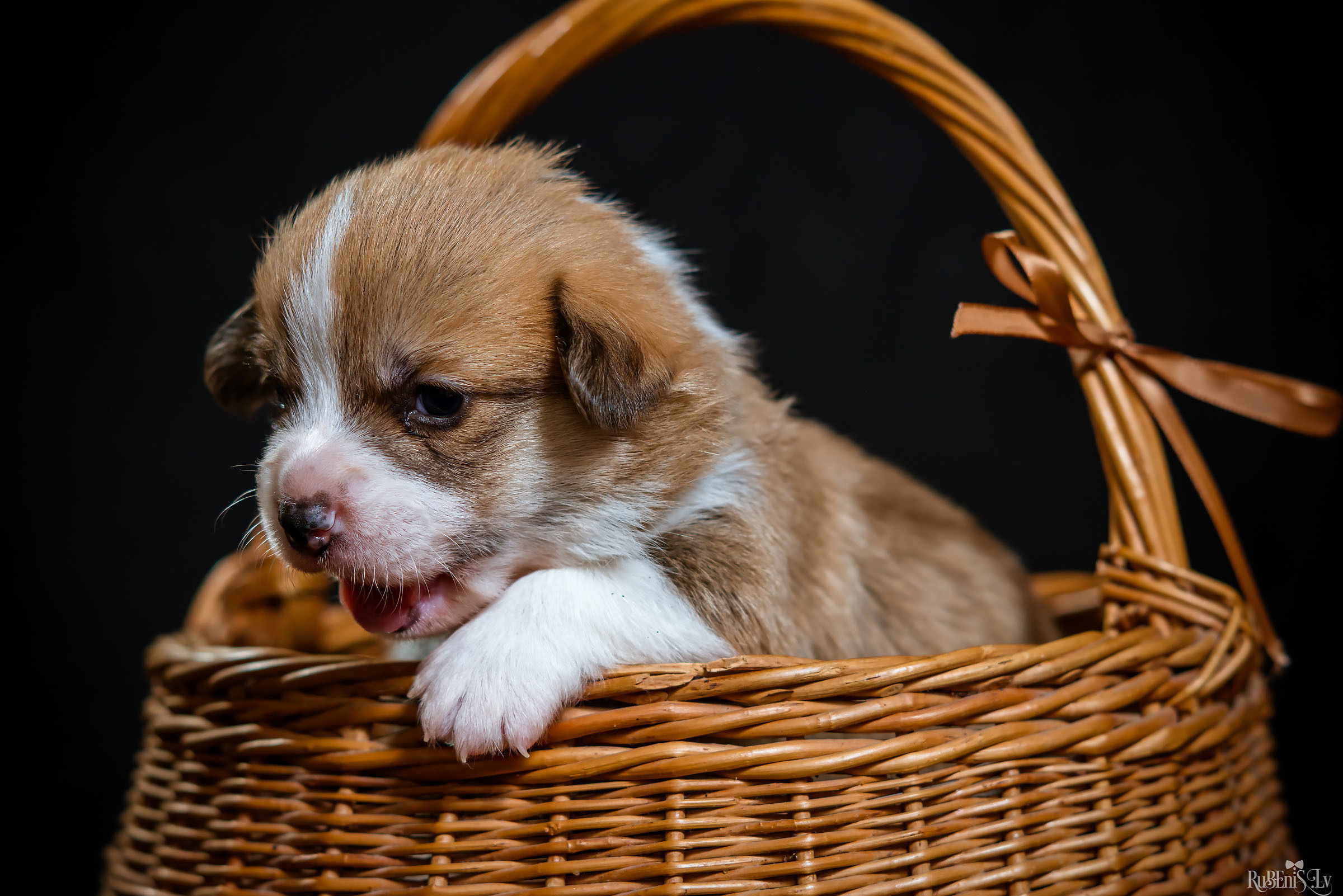 Fotogrāfs Romualds Rubenis un Artemijs Stašāns