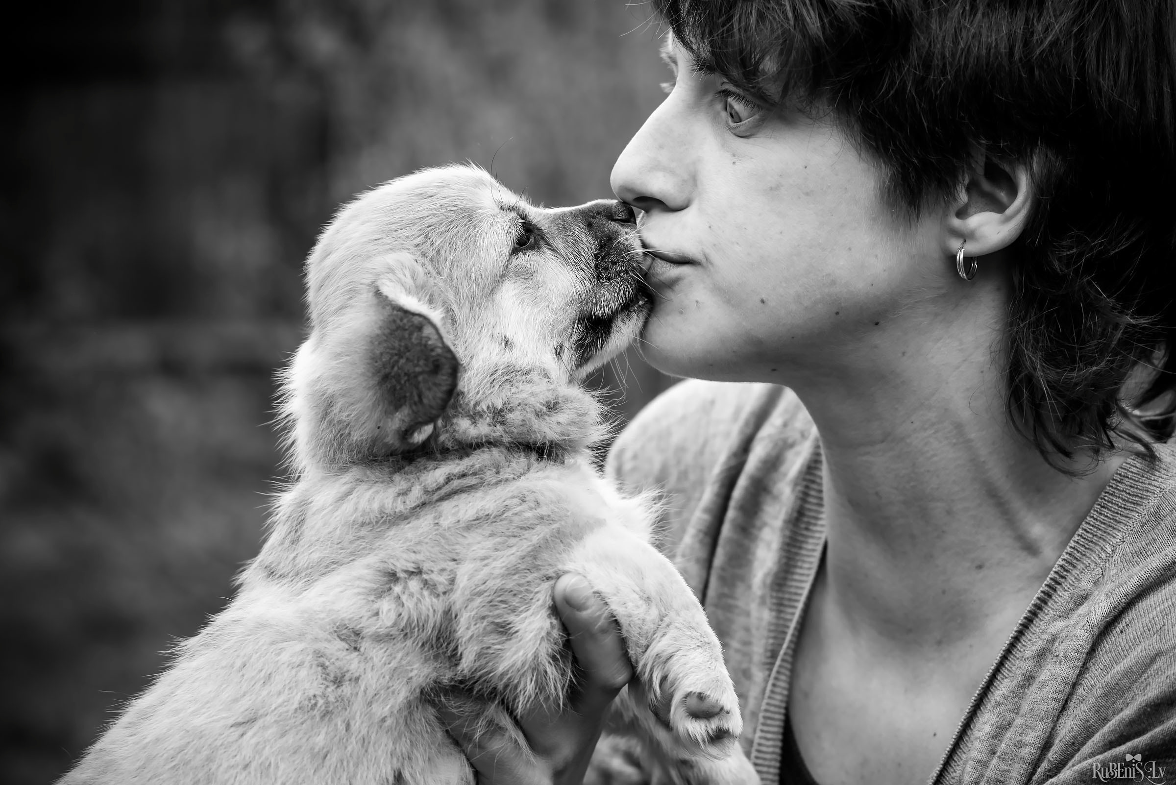 Анна и Марта / Корги и Гриффоны. Фотограф Ромуальд Рубенис и Артемий Сташанс