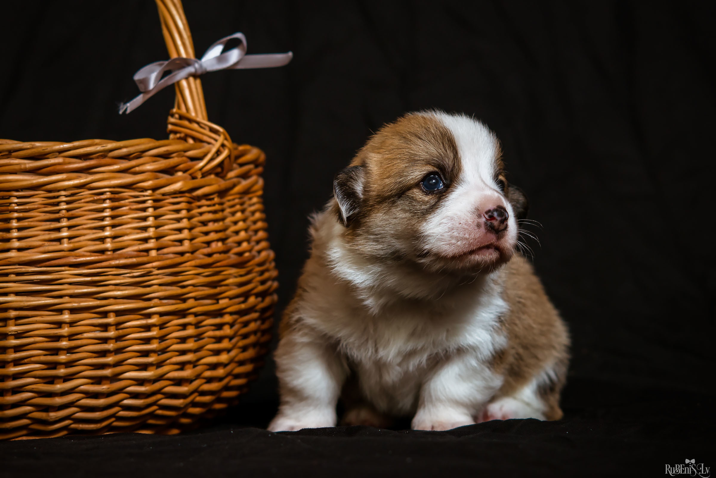 Fotogrāfs Romualds Rubenis un Artemijs Stašāns