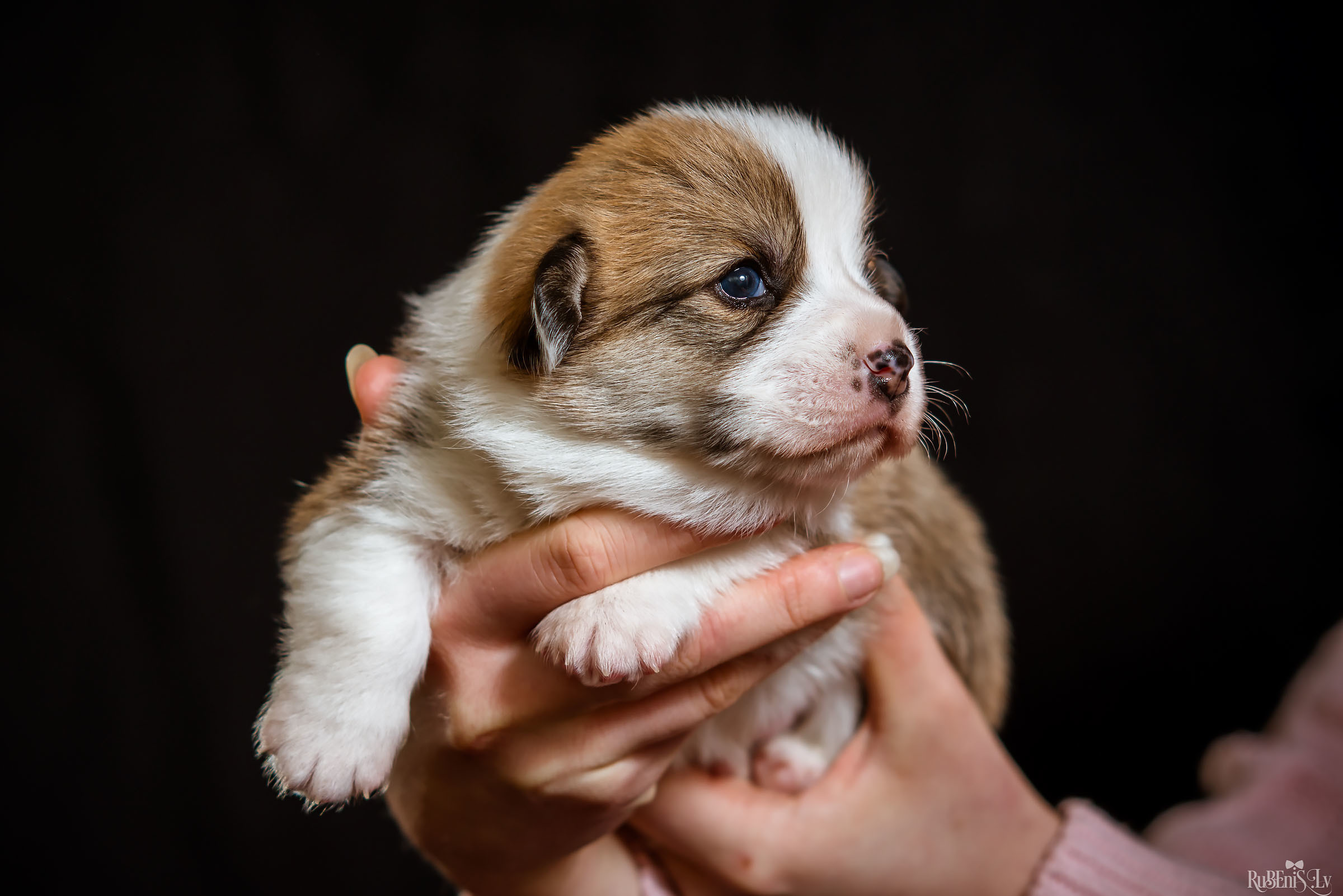 Fotogrāfs Romualds Rubenis un Artemijs Stašāns