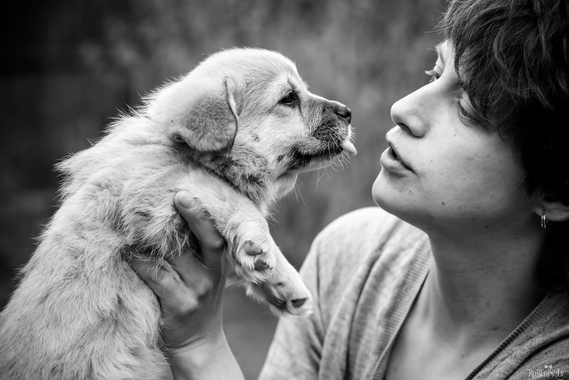 Анна и Марта / Корги и Гриффоны. Фотограф Ромуальд Рубенис и Артемий Сташанс