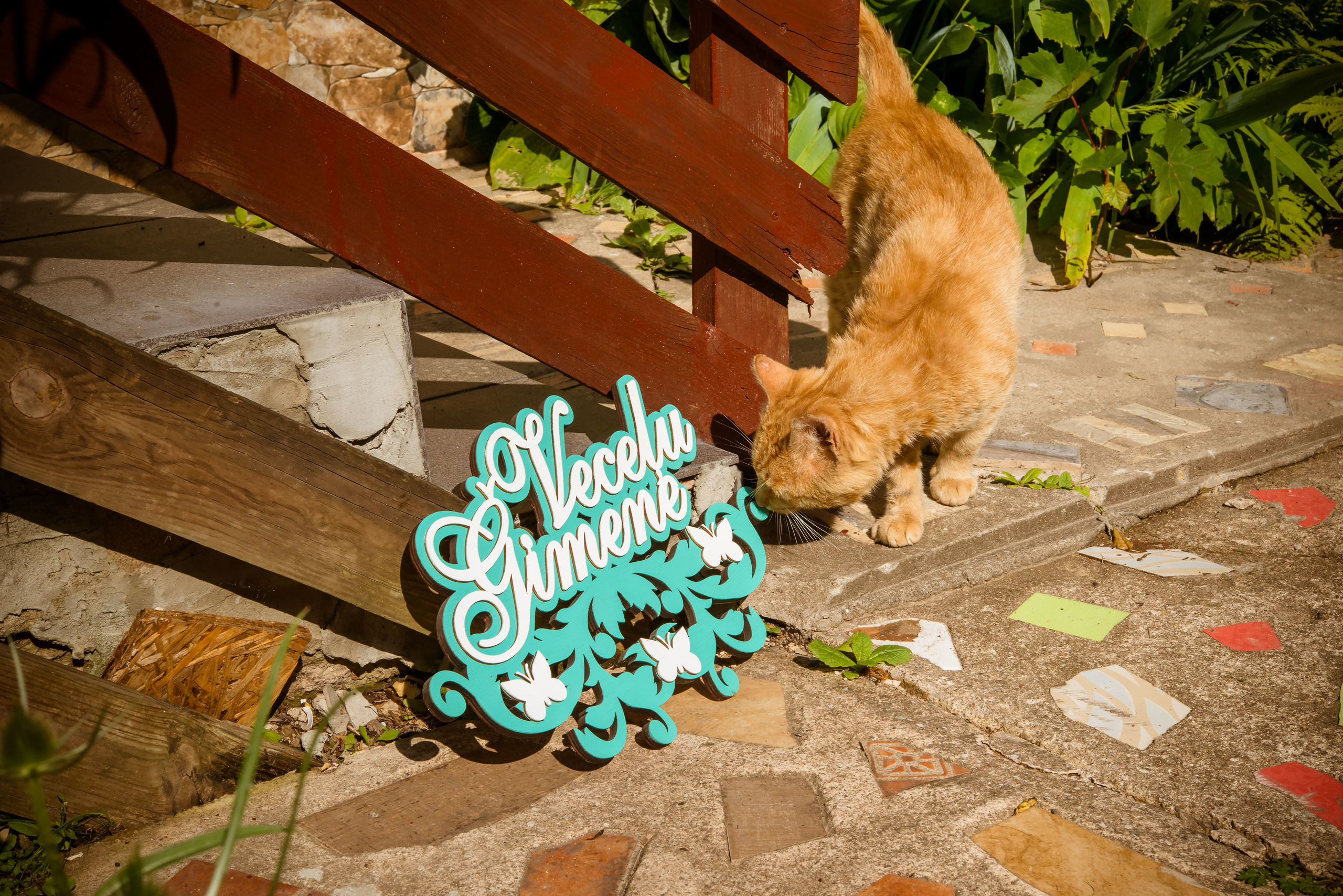 Fotogrāfs Romualds Rubenis un Artemijs Stašāns