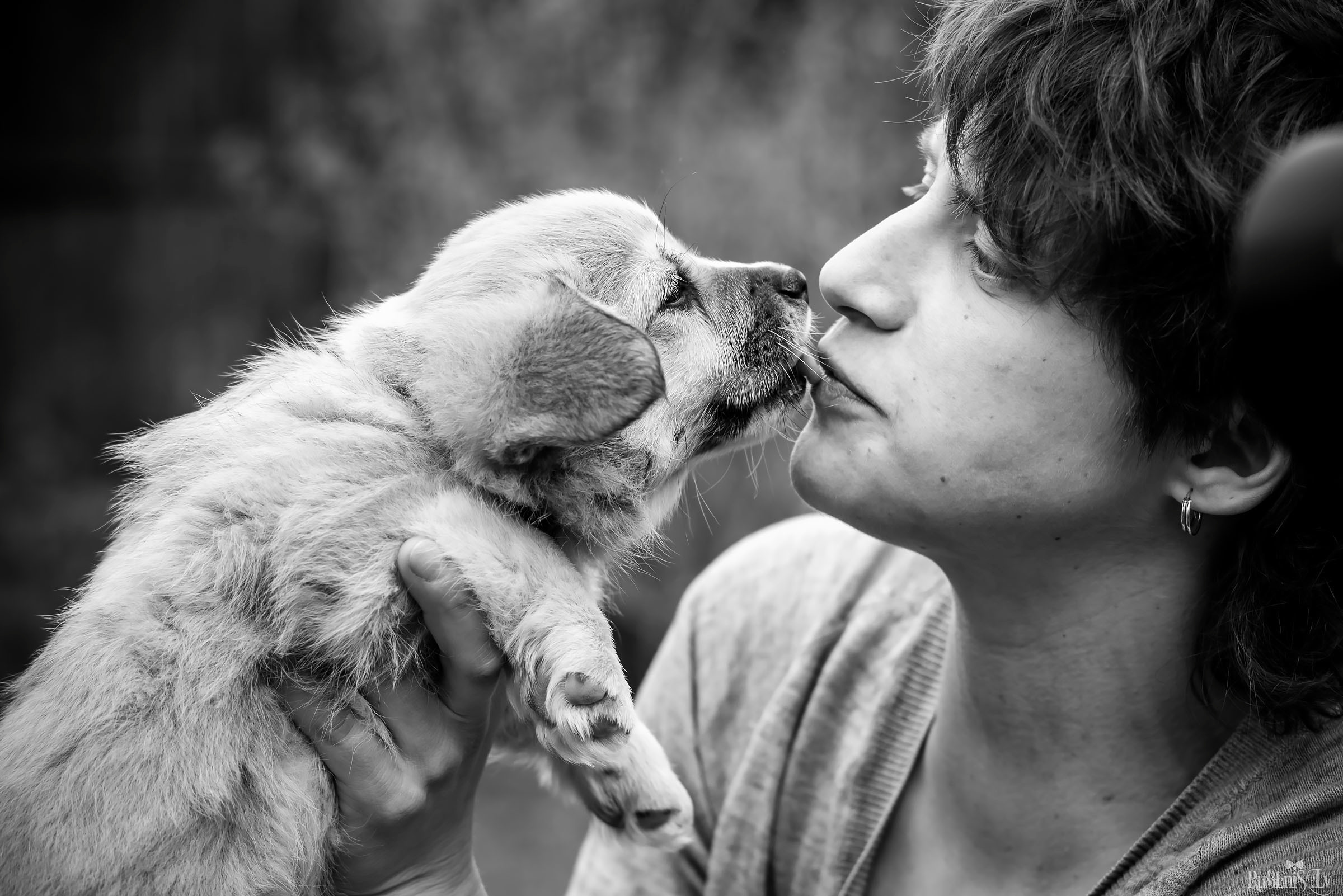 Анна и Марта / Корги и Гриффоны. Фотограф Ромуальд Рубенис и Артемий Сташанс