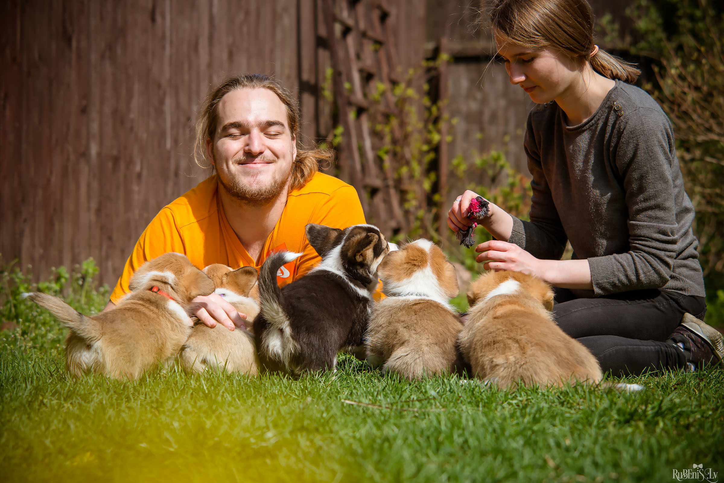 Анна и Марта / Корги и Гриффоны. Фотограф Ромуальд Рубенис и Артемий Сташанс