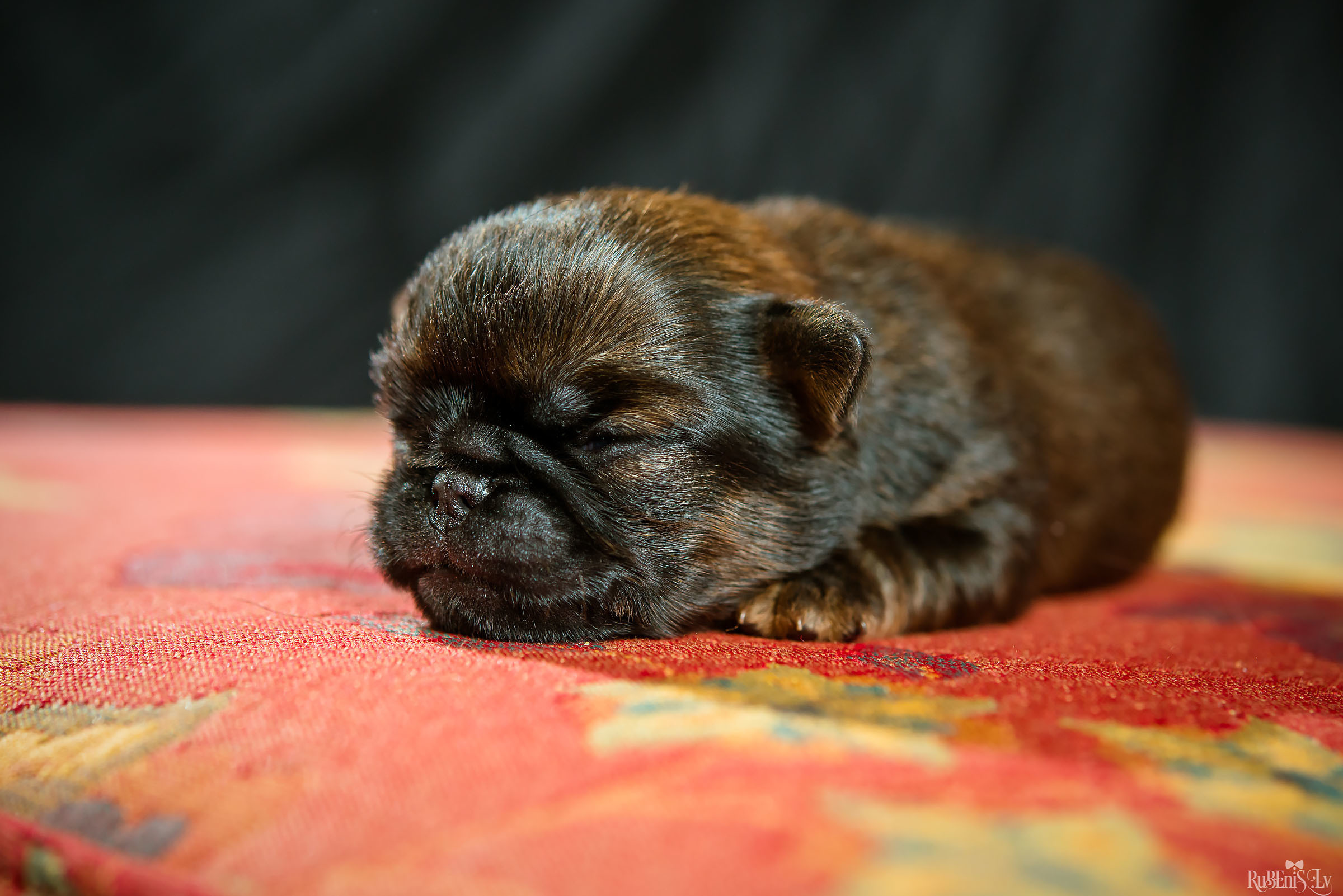 Fotogrāfs Romualds Rubenis un Artemijs Stašāns