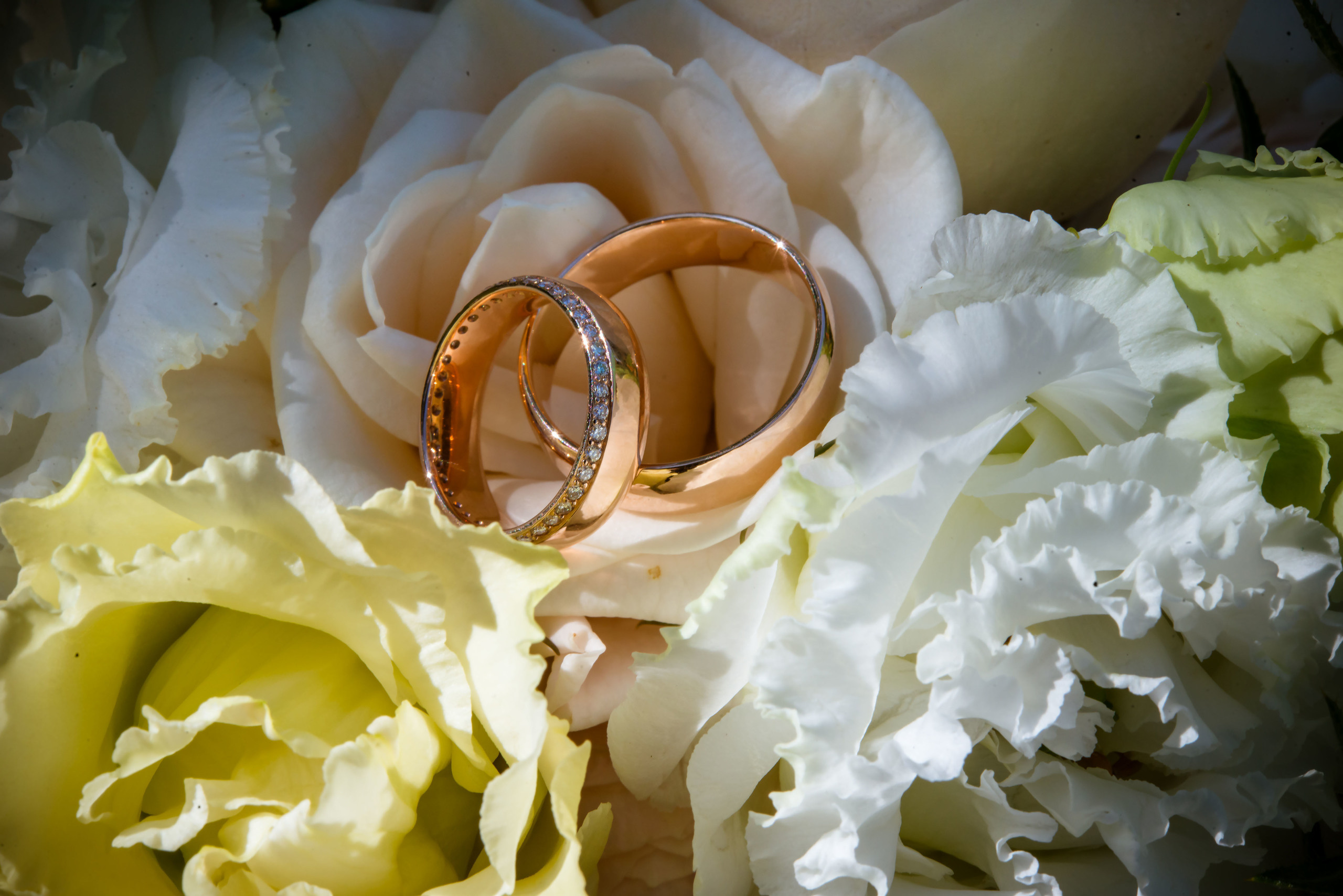 Fotogrāfs Romualds Rubenis un Artemijs Stašāns