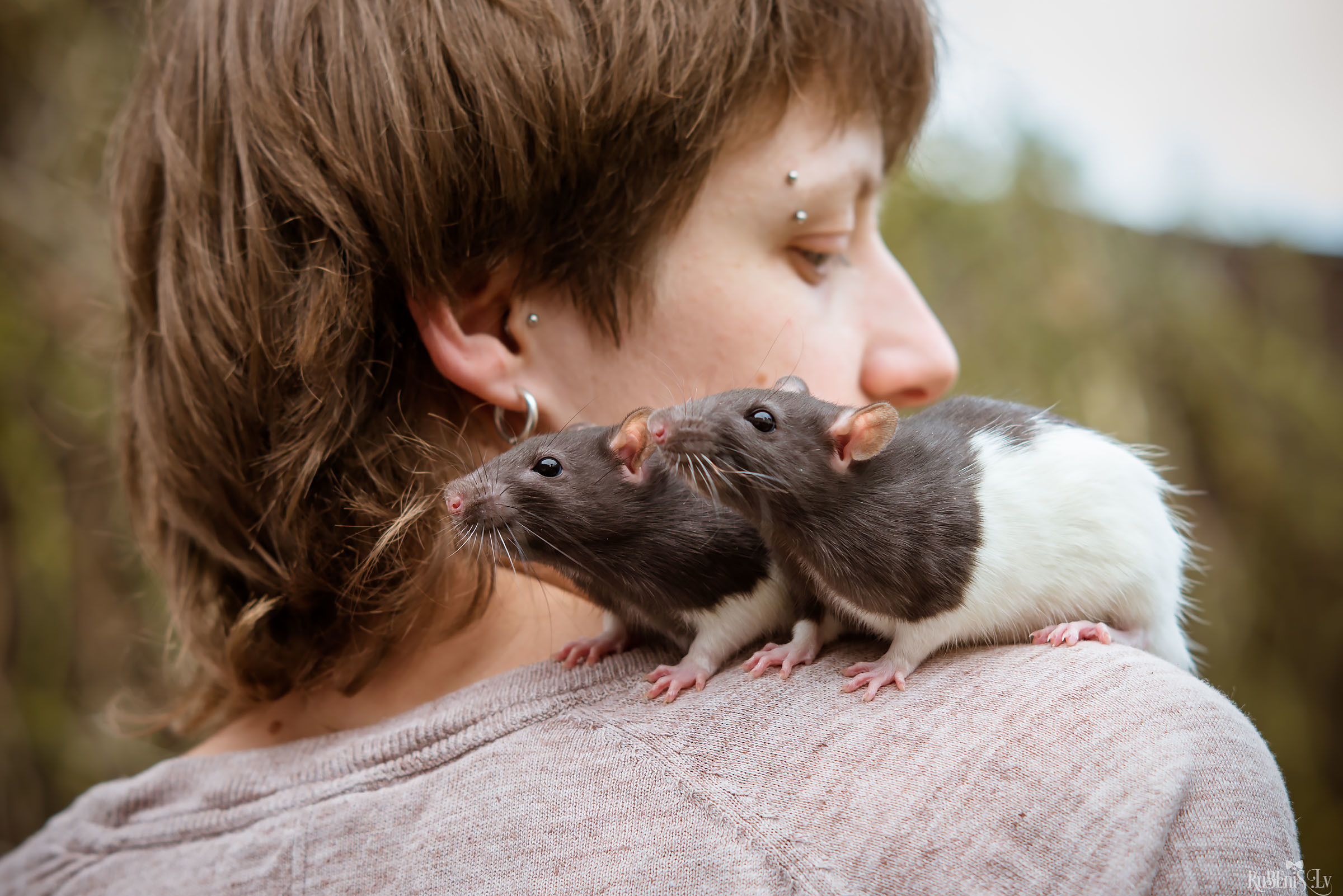 Анна и Марта / Корги и Гриффоны. Фотограф Ромуальд Рубенис и Артемий Сташанс