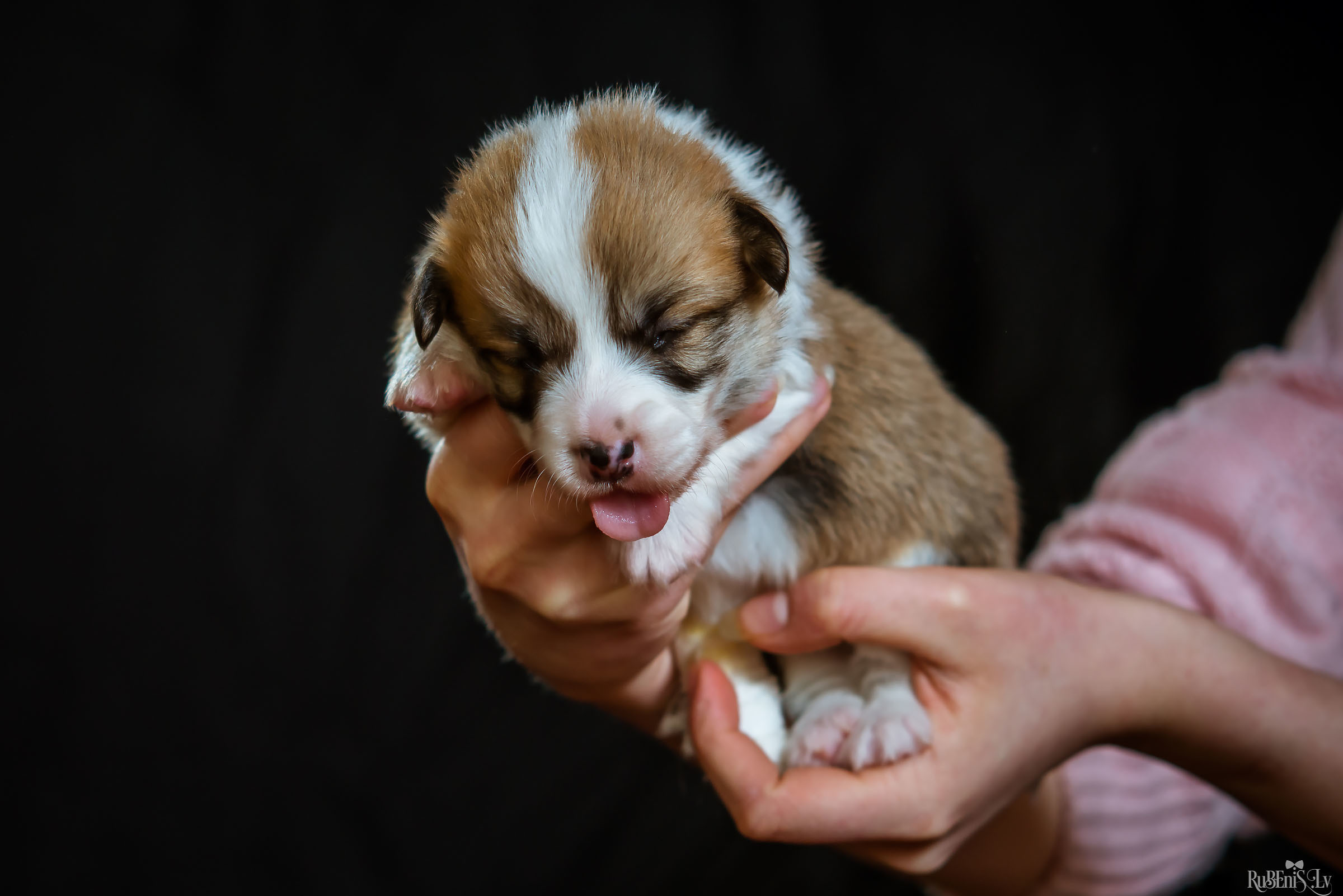 Fotogrāfs Romualds Rubenis un Artemijs Stašāns