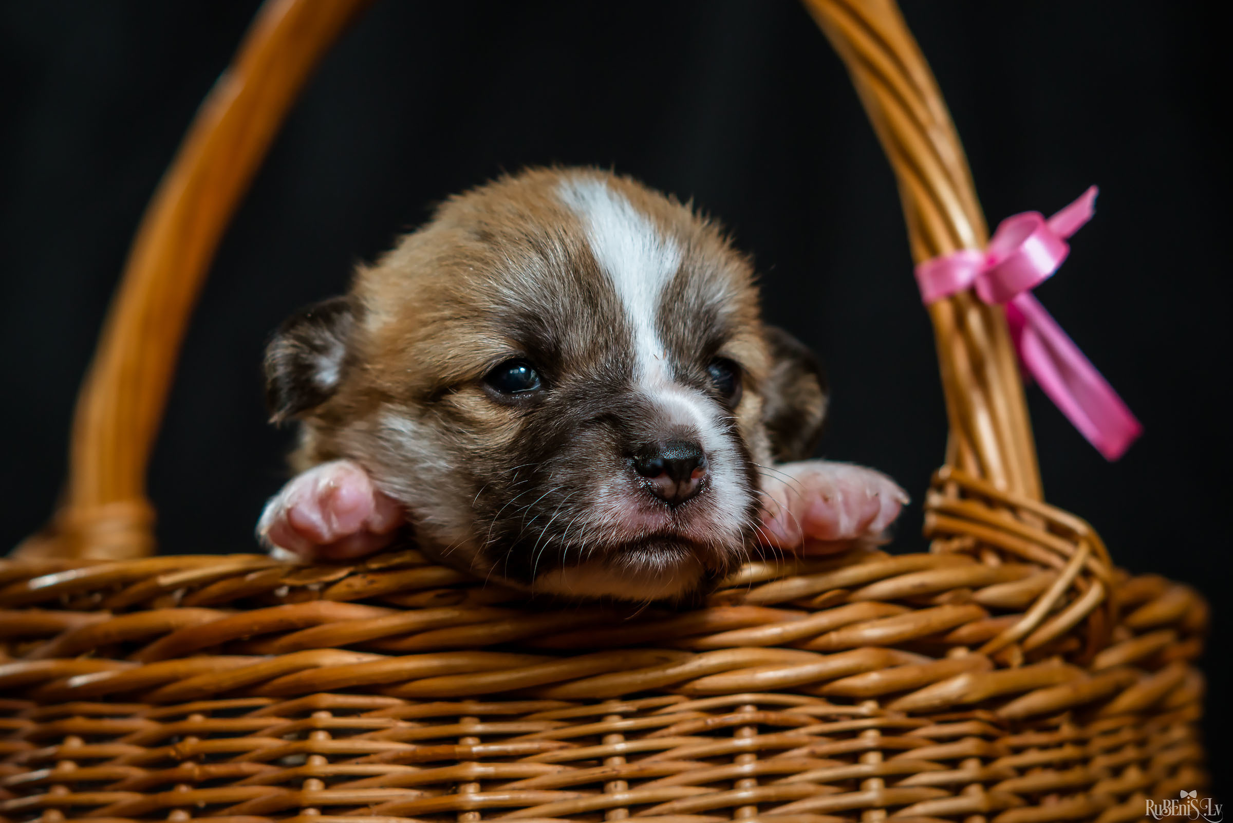 Fotogrāfs Romualds Rubenis un Artemijs Stašāns