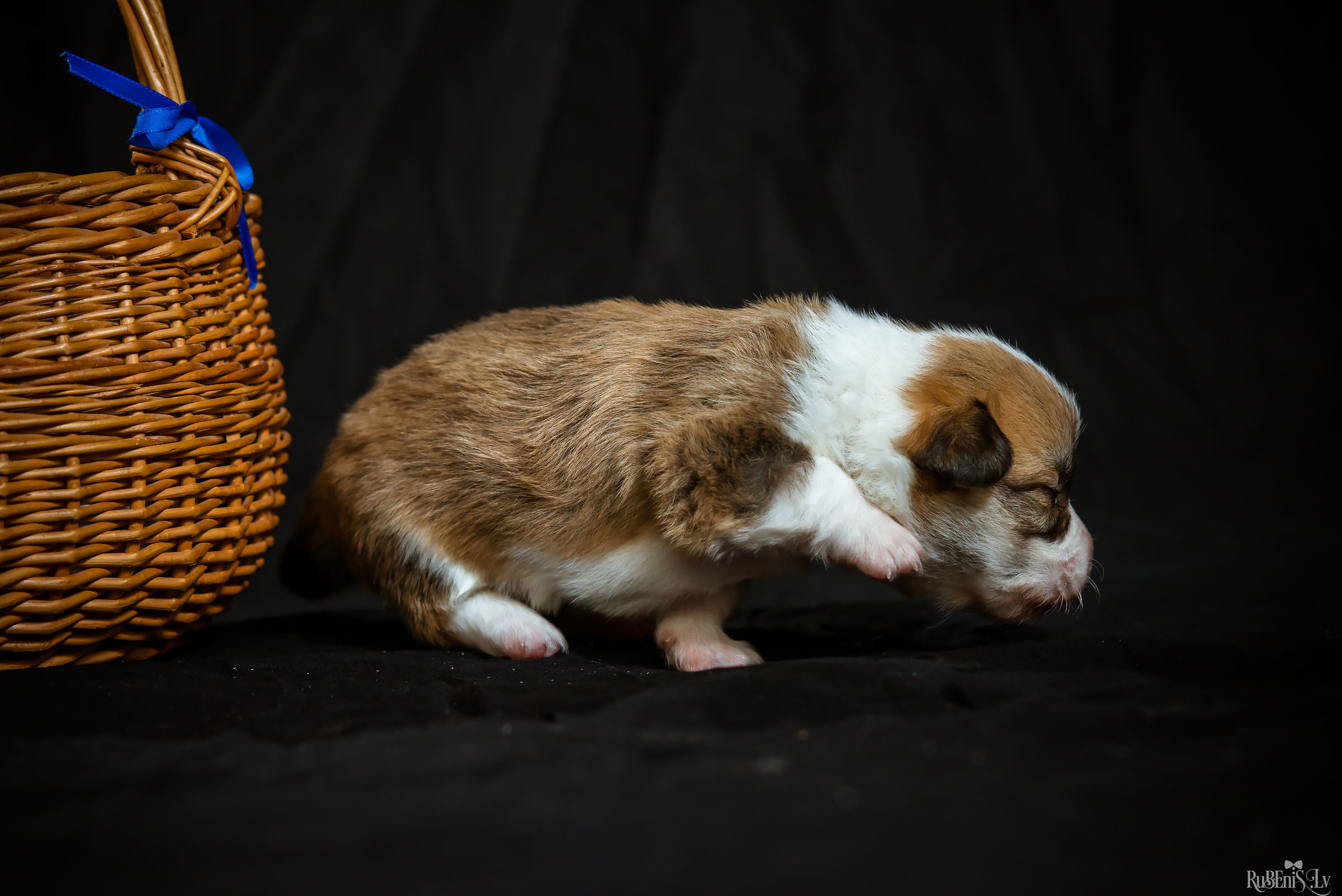Fotogrāfs Romualds Rubenis un Artemijs Stašāns