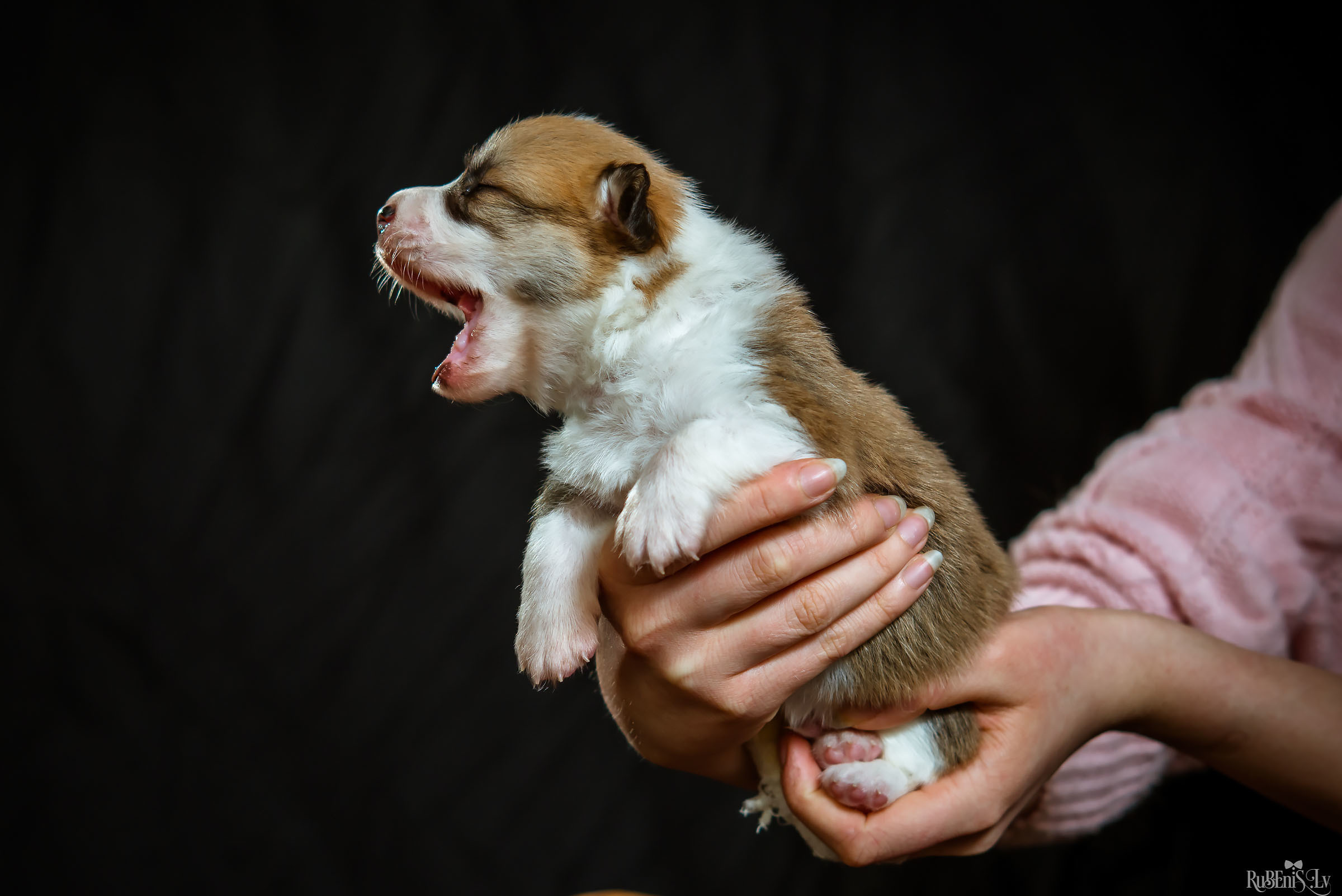 Fotogrāfs Romualds Rubenis un Artemijs Stašāns