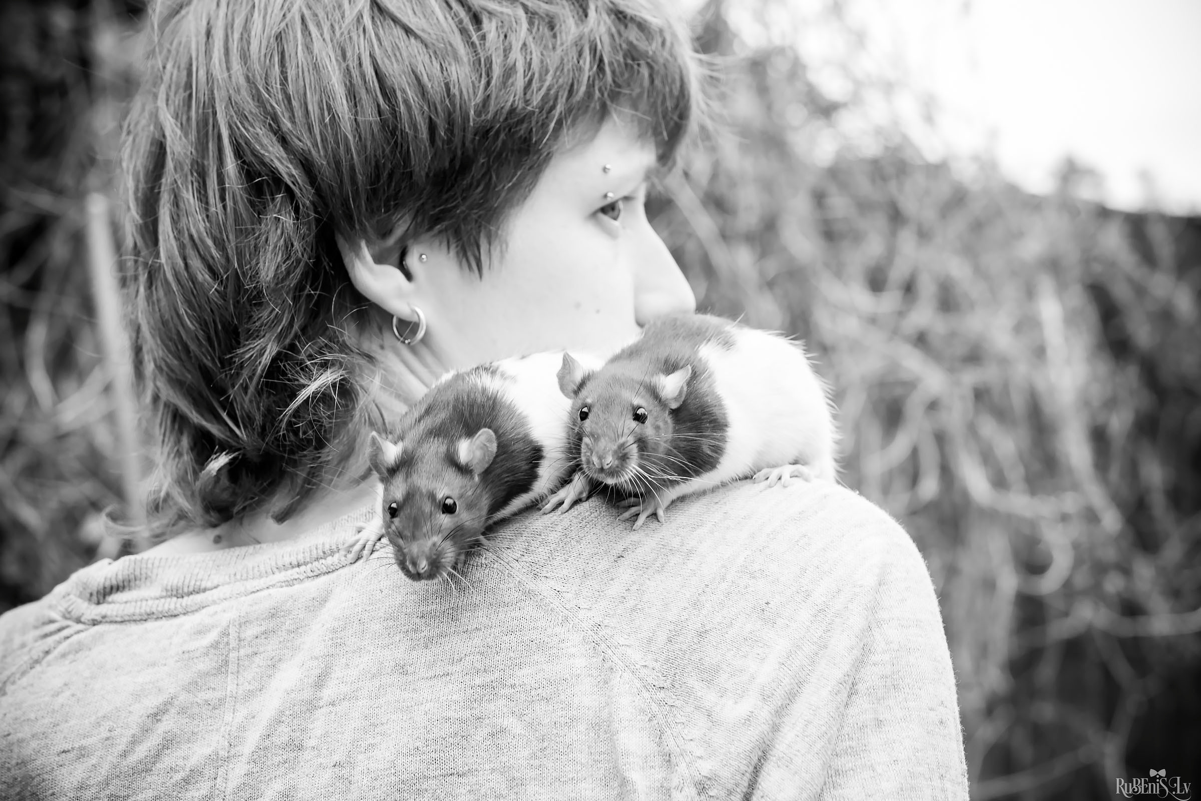 Анна и Марта / Корги и Гриффоны. Фотограф Ромуальд Рубенис и Артемий Сташанс