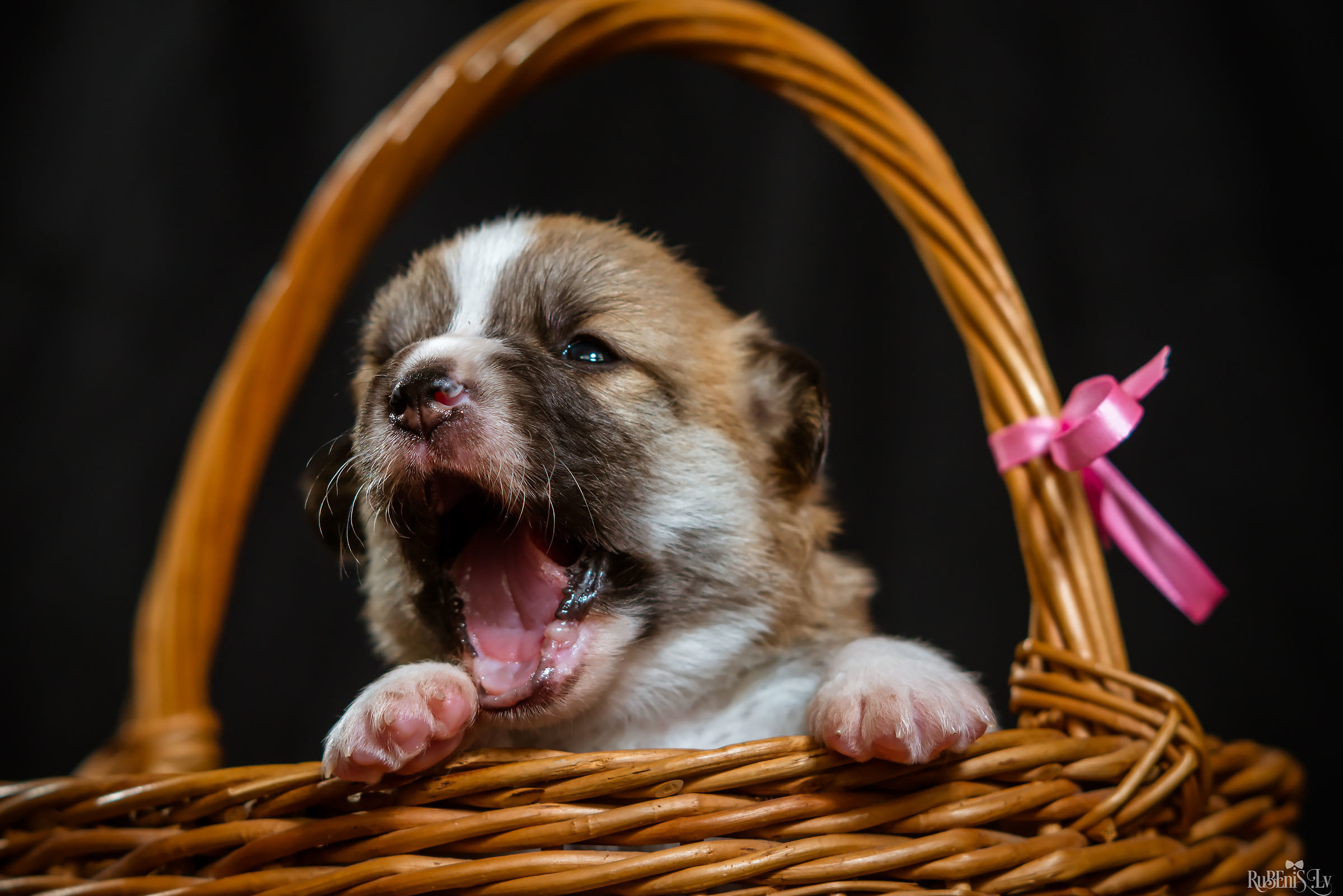 Fotogrāfs Romualds Rubenis un Artemijs Stašāns