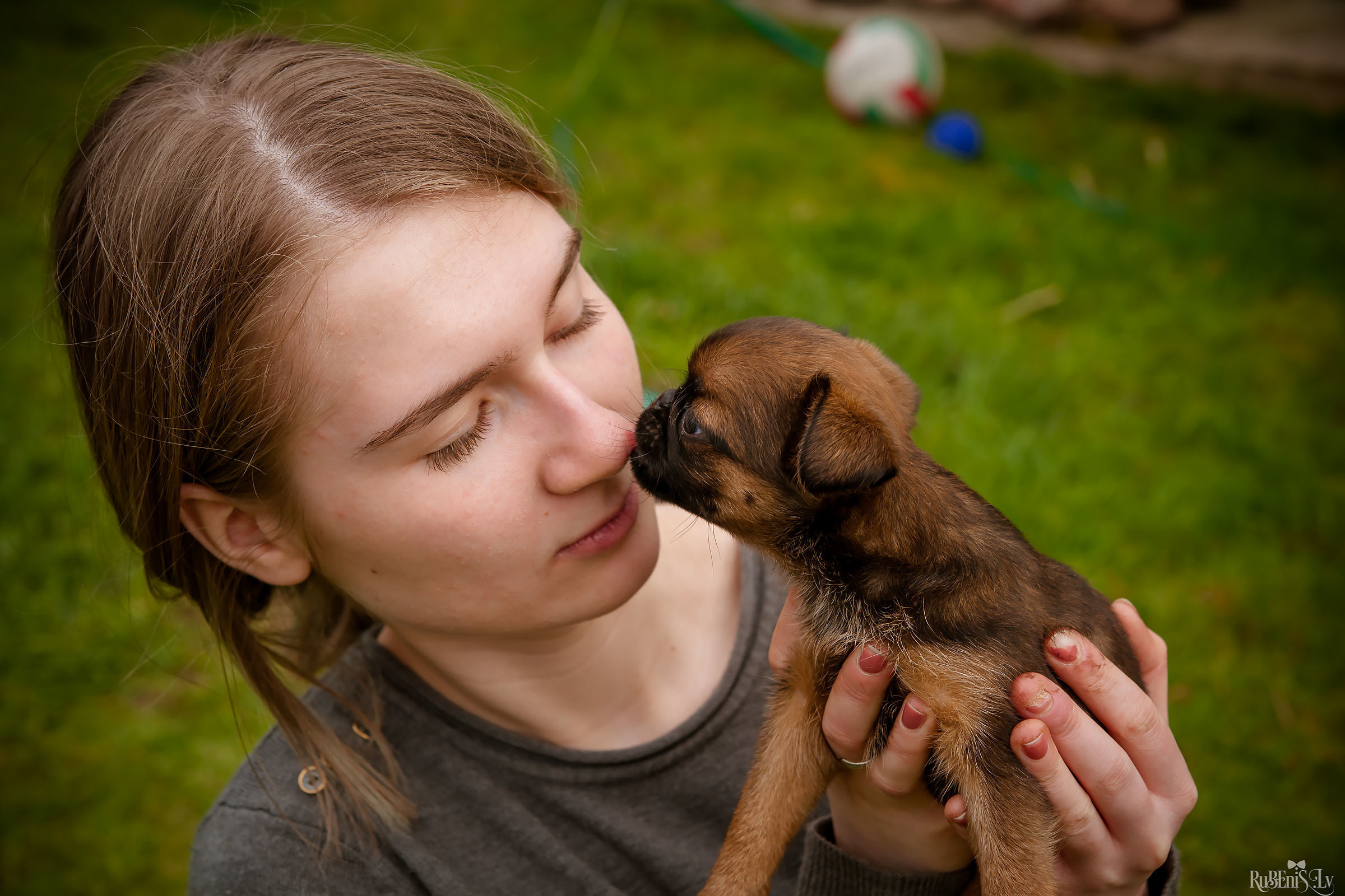 Анна и Марта / Корги и Гриффоны. Фотограф Ромуальд Рубенис и Артемий Сташанс