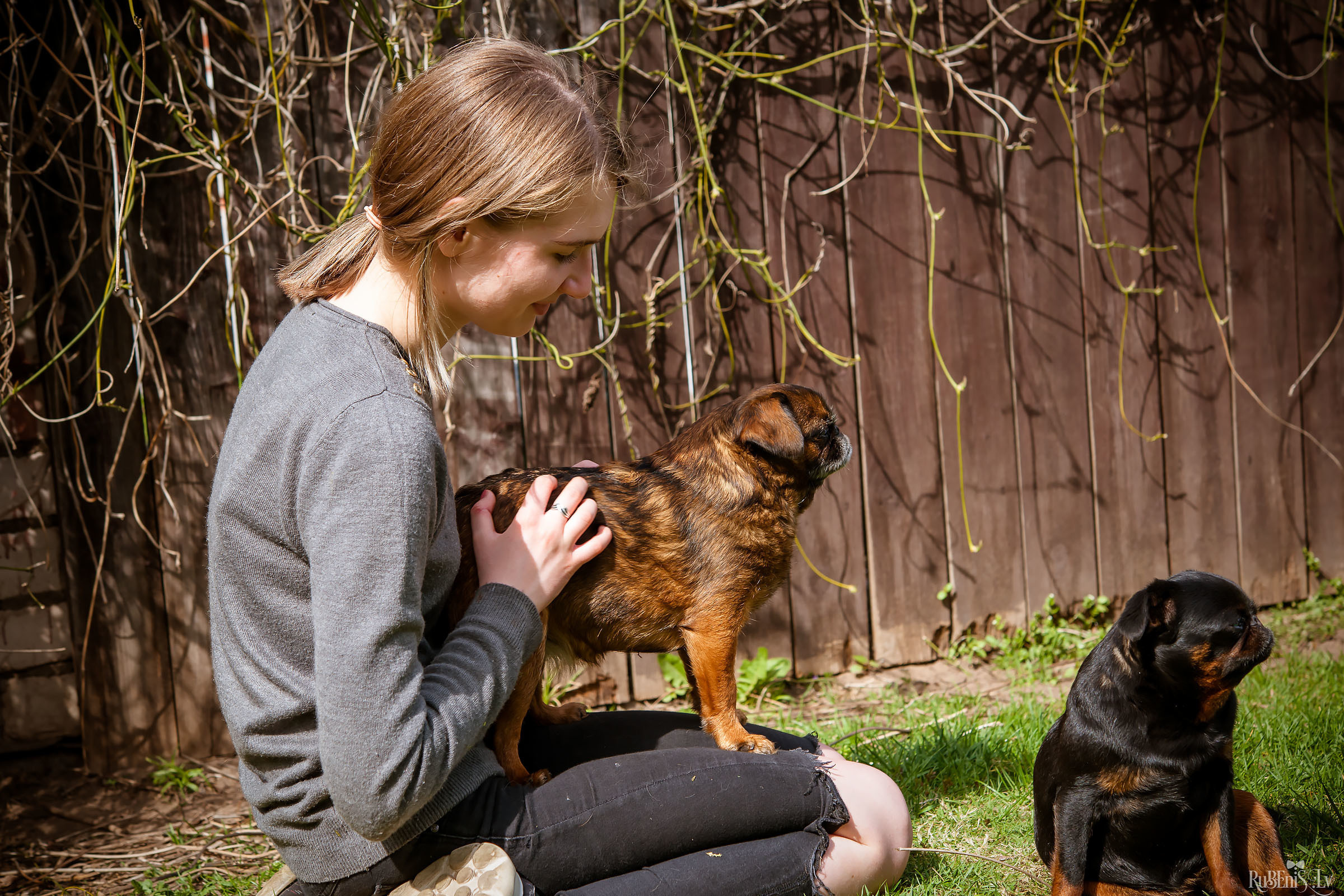 Анна и Марта / Корги и Гриффоны. Фотограф Ромуальд Рубенис и Артемий Сташанс