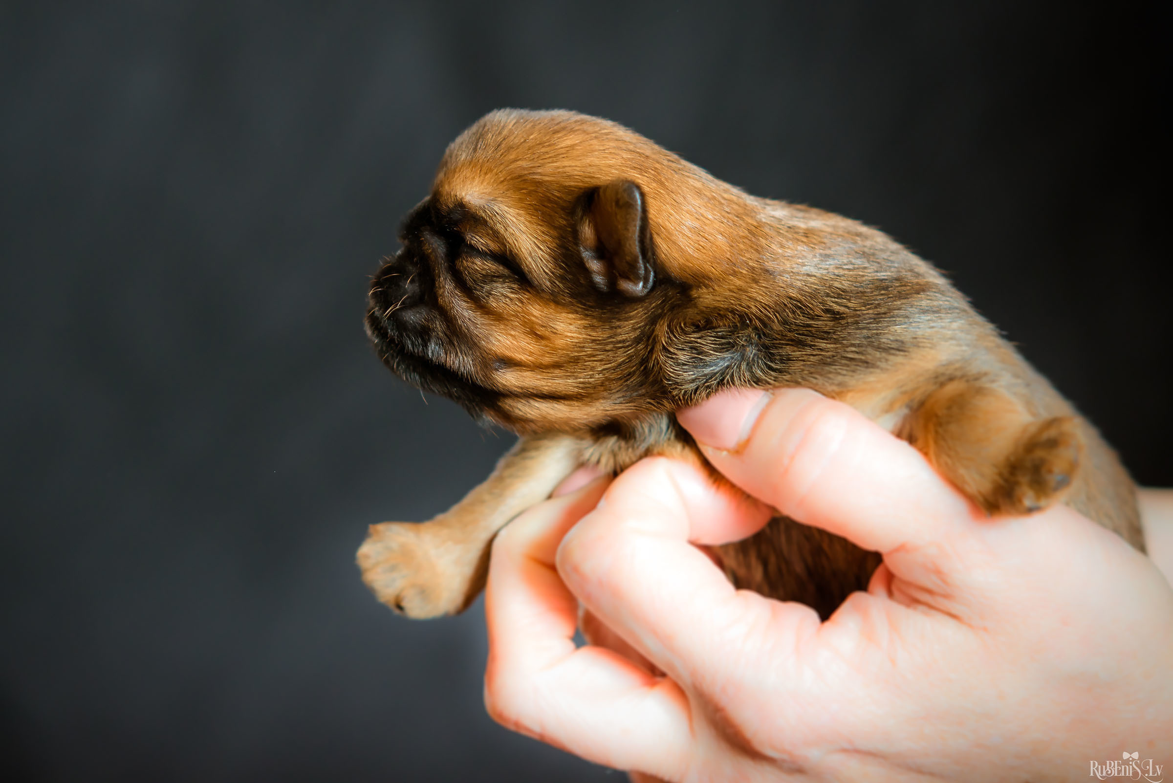 Fotogrāfs Romualds Rubenis un Artemijs Stašāns