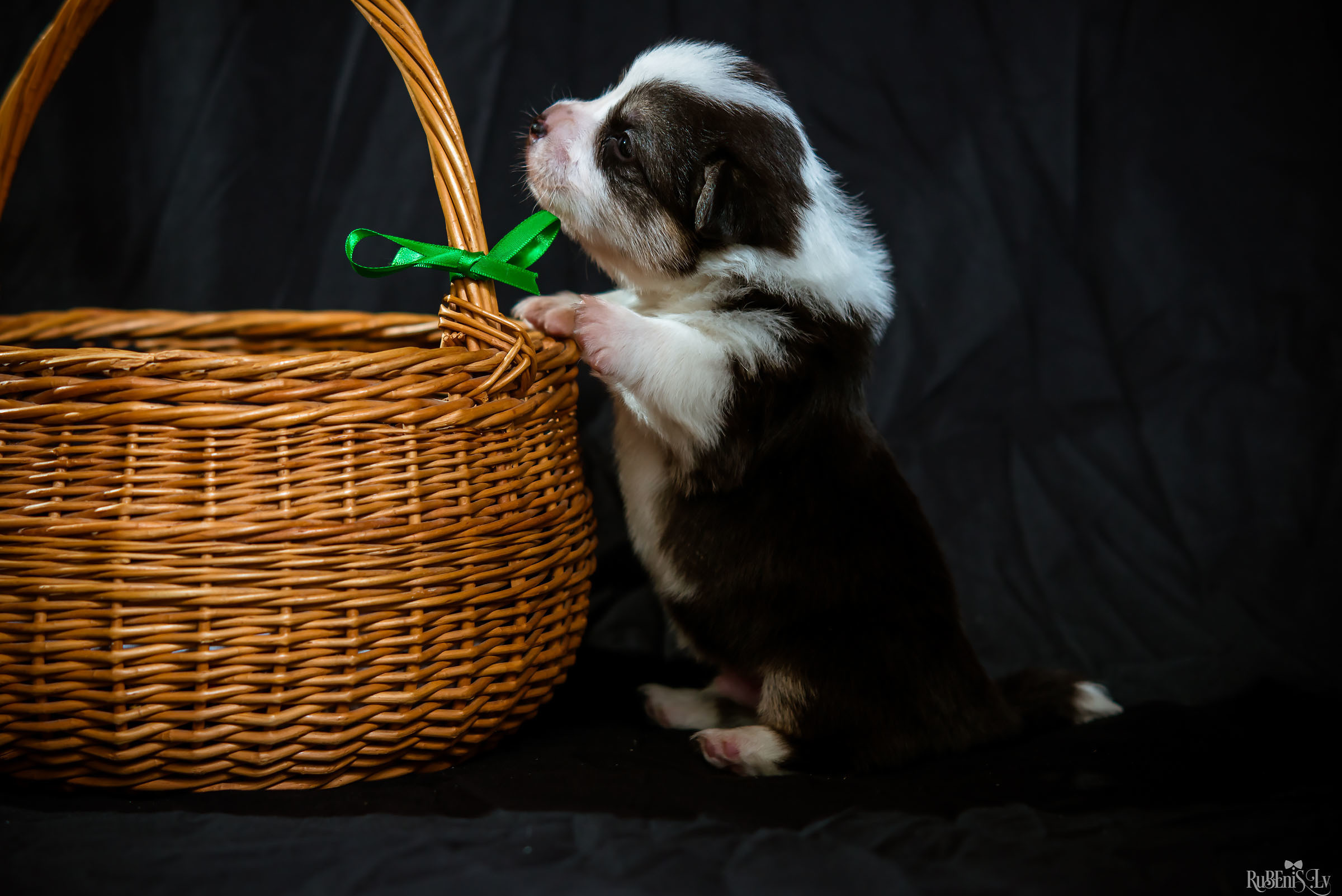 Fotogrāfs Romualds Rubenis un Artemijs Stašāns
