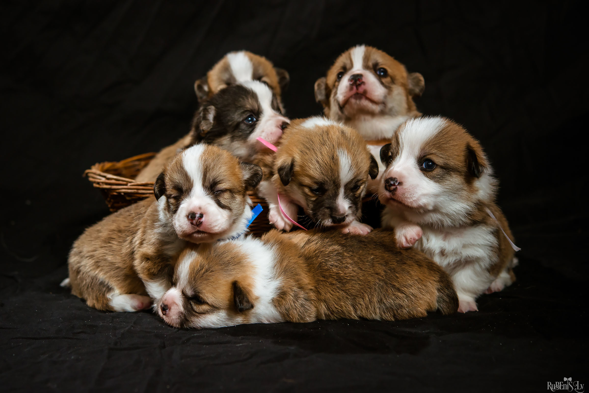 Fotogrāfs Romualds Rubenis un Artemijs Stašāns