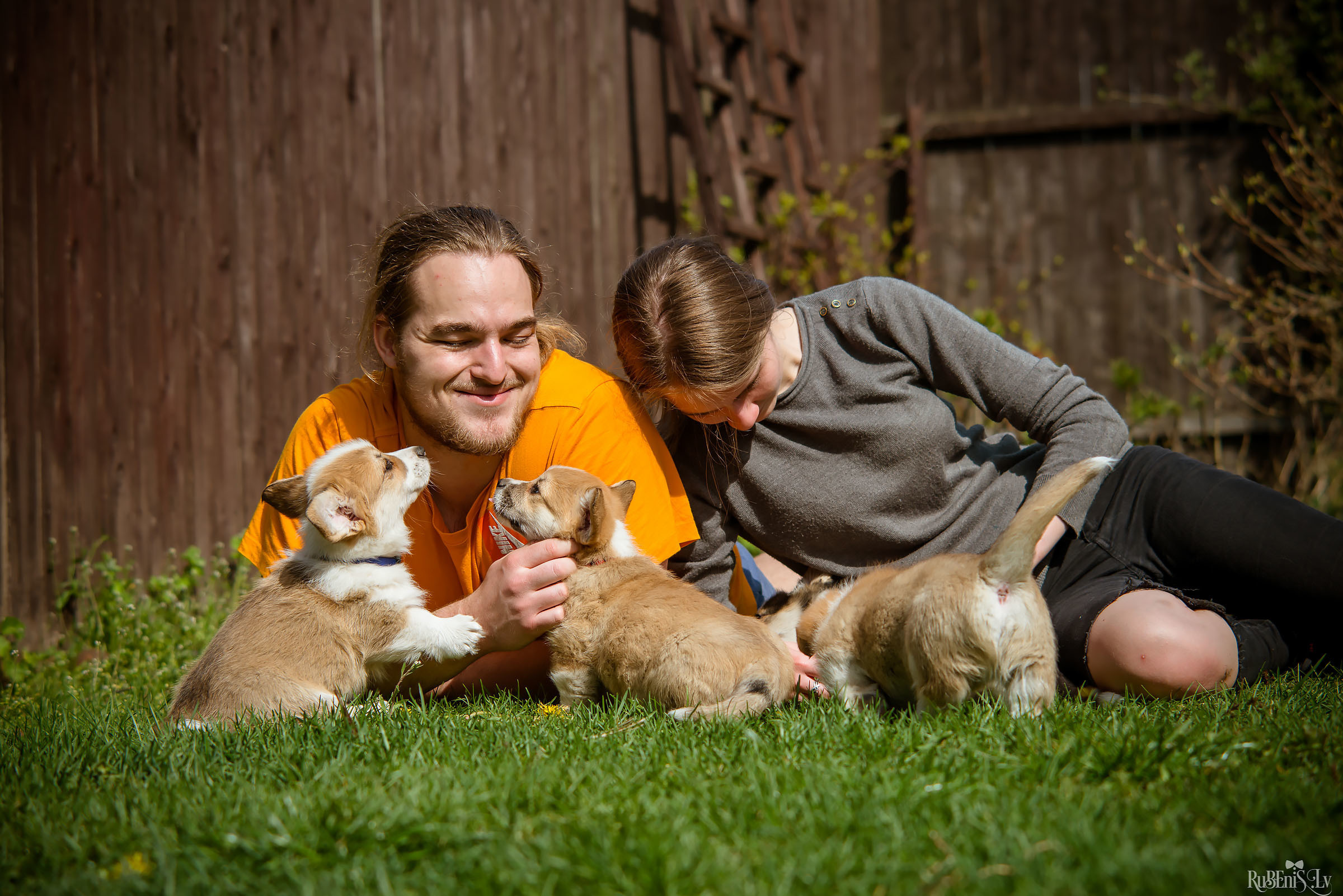Анна и Марта / Корги и Гриффоны. Фотограф Ромуальд Рубенис и Артемий Сташанс
