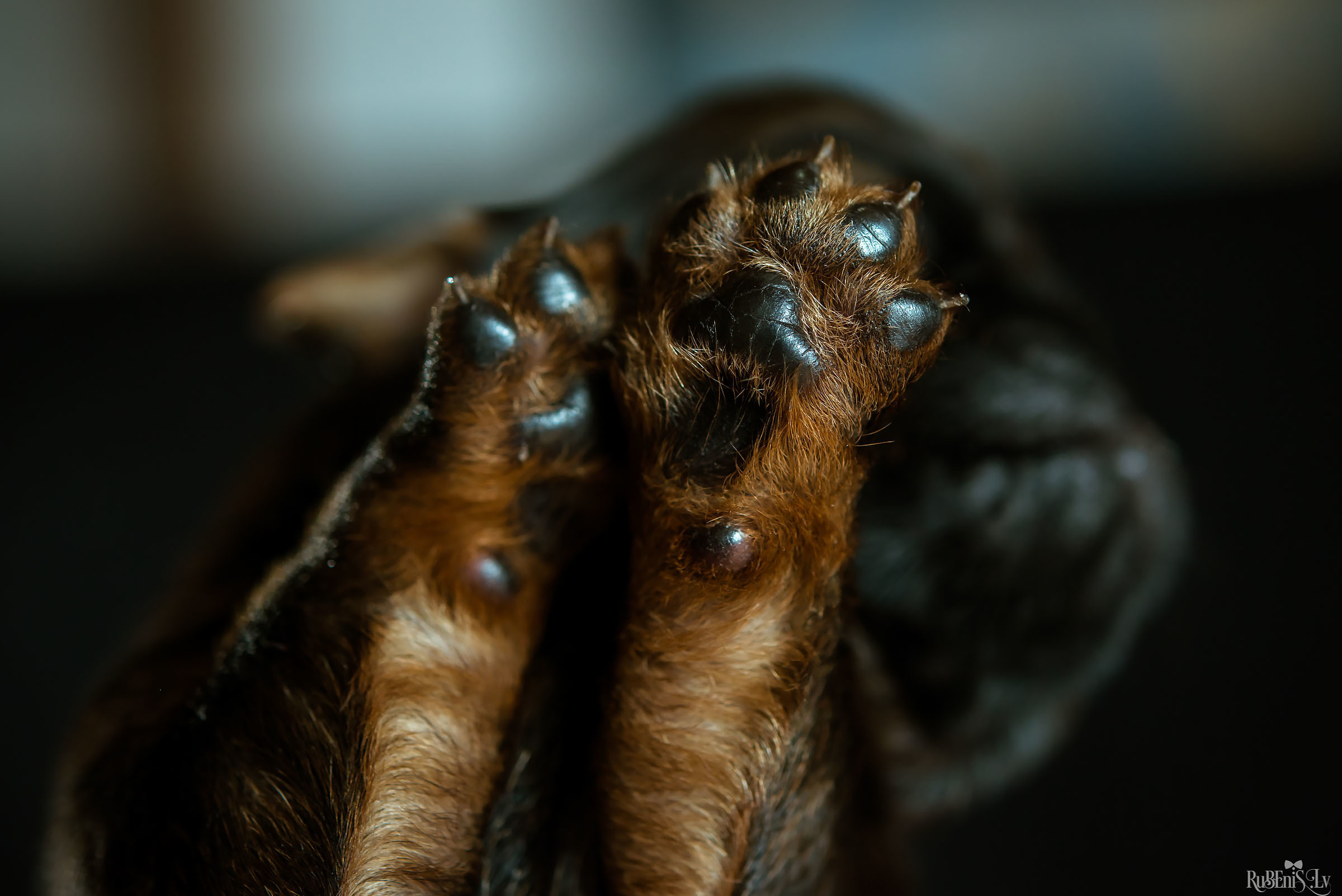 Fotogrāfs Romualds Rubenis un Artemijs Stašāns