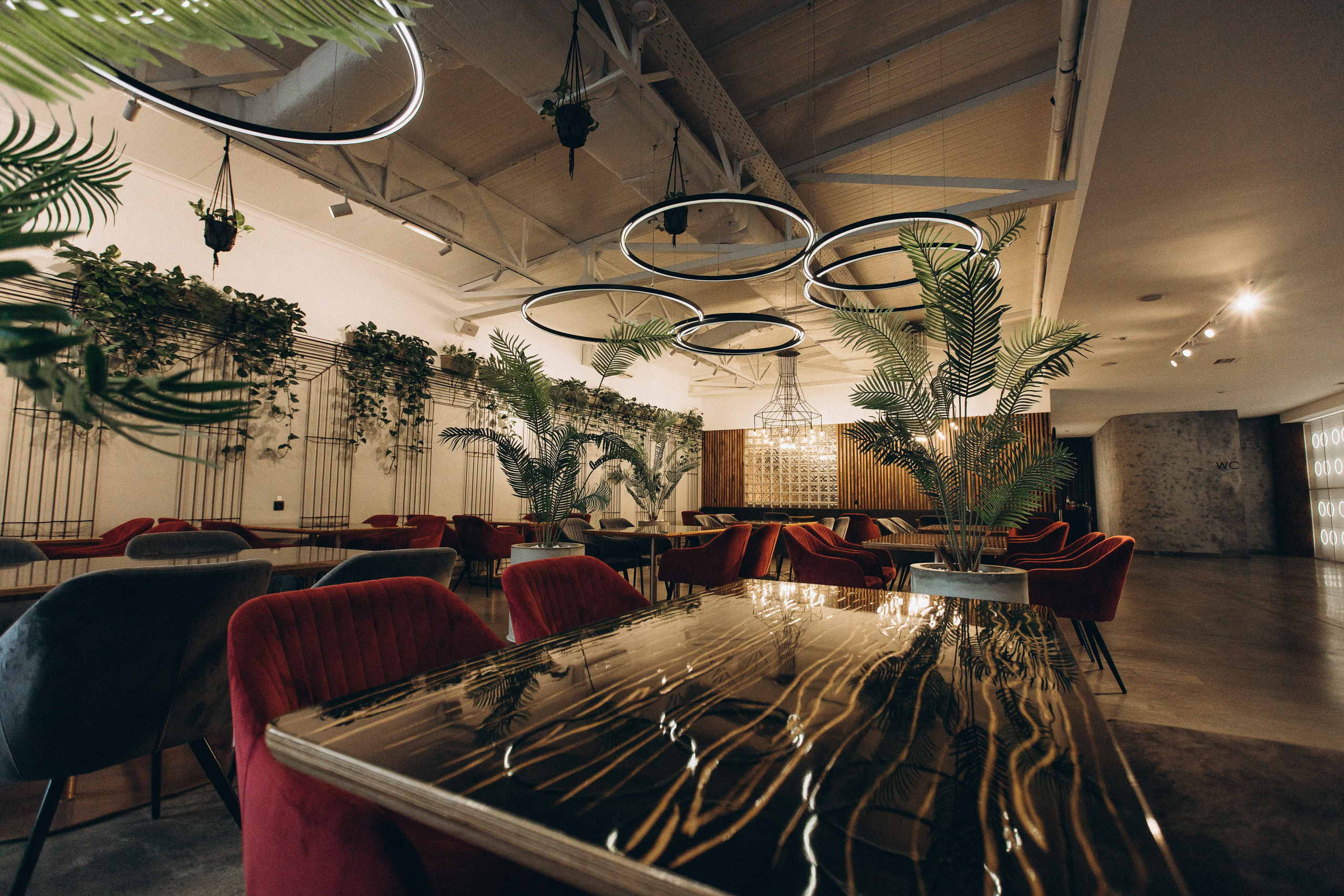 Мережа ресторанів Classic. Ірина Терещук