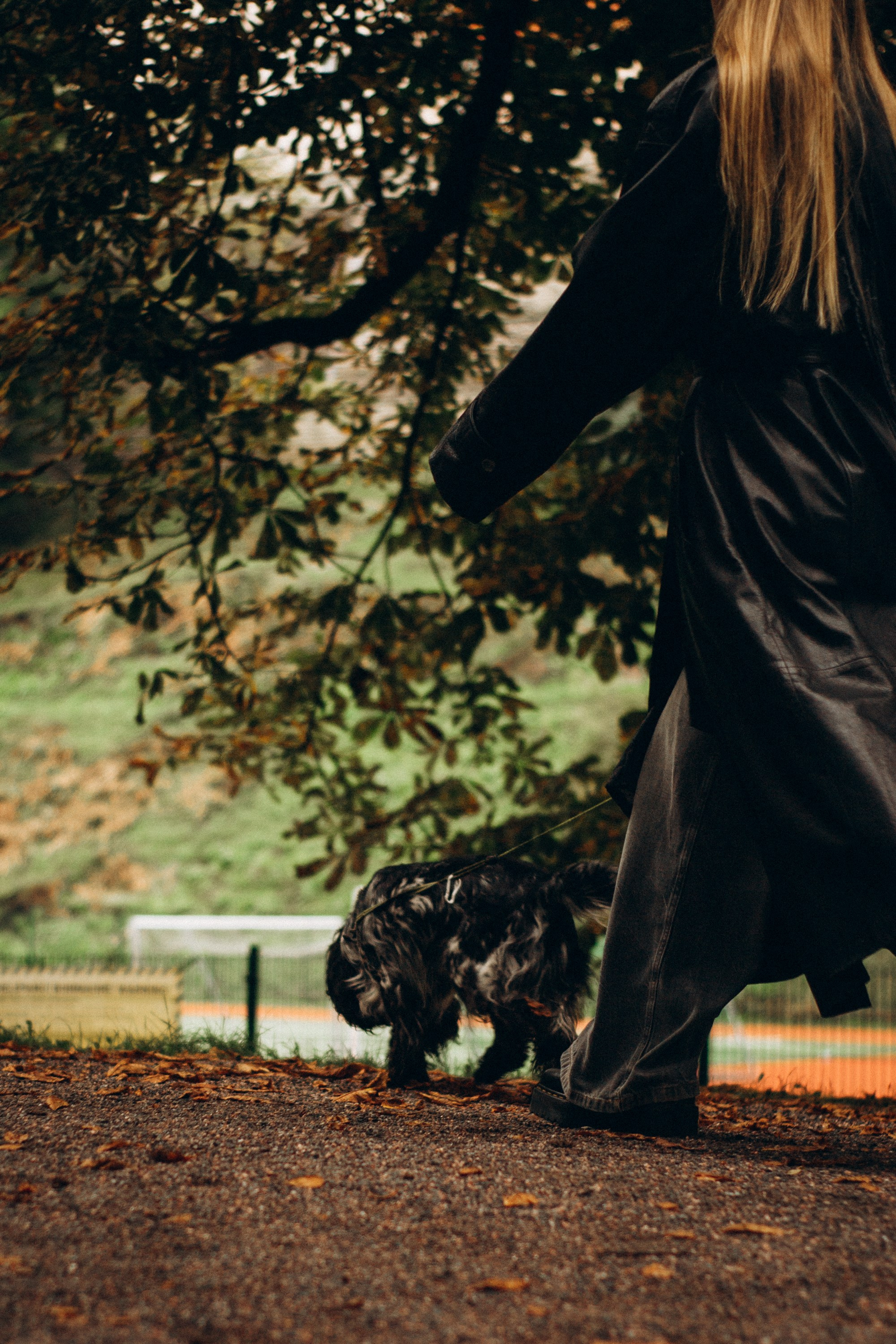 Dog Street Photography in Estonia. Kat Laisaar — Pet photographer in Tallinn