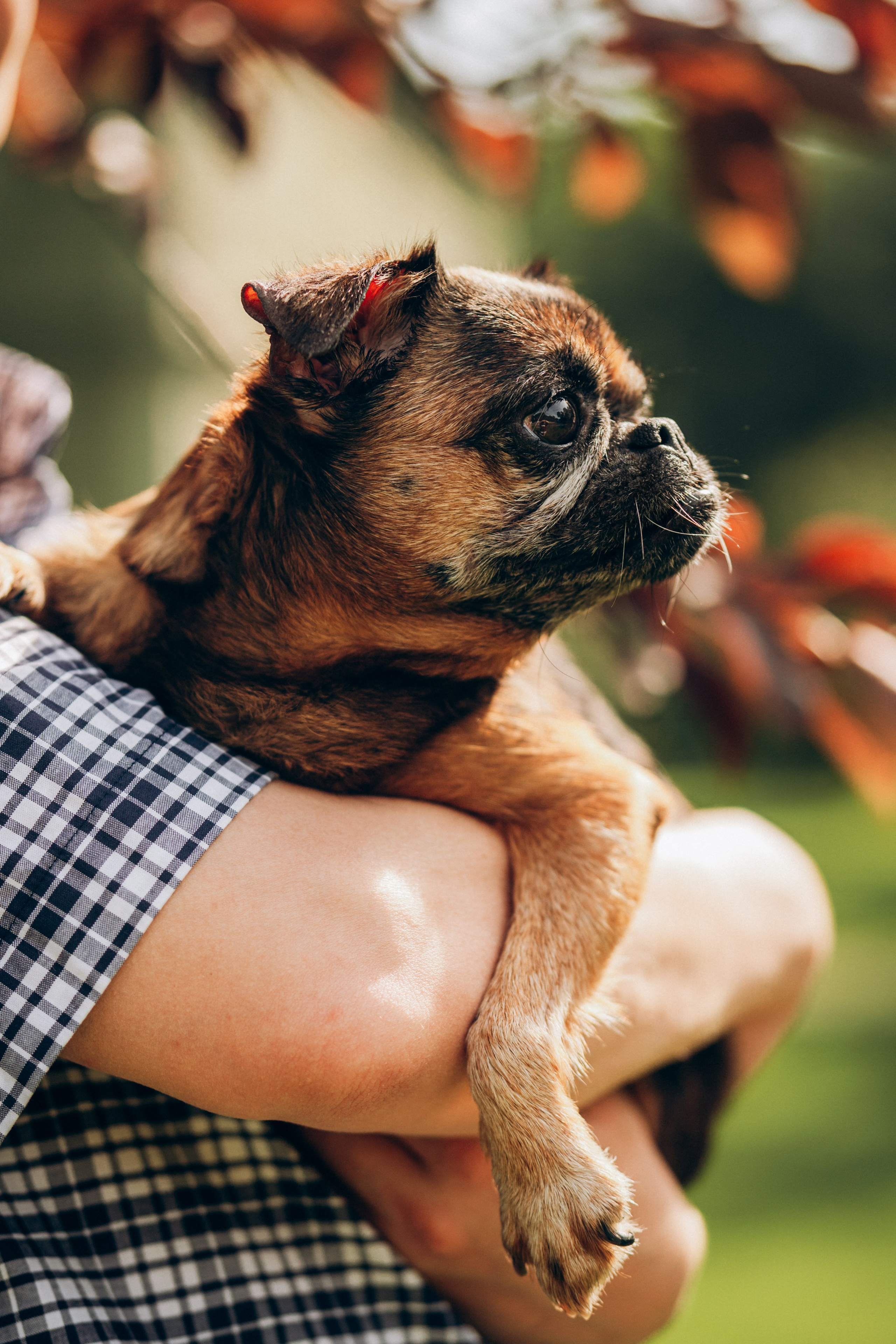 Natalia, Janik, Nusha & Betty. Фотограф-анималист в Таллинне, Катя Лайсаар