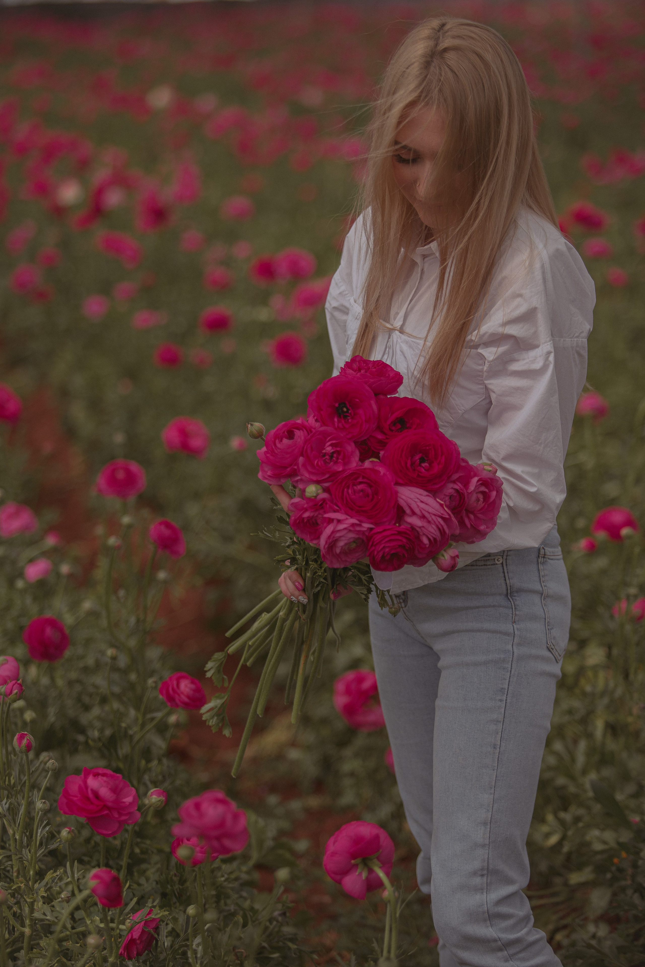 Цветы в Анталии. Цветочные плантации в Анталии. Фотосессия на цветочной плантации. Цветочные поля. Календарь цветения в Турции. Парники теплицы Турция Анталия. Цветы Анталия. Фотограф в Турции. Фотограф Анталия. Фотограф Анталья. Анталия. Анталья. Цветы ранункулист. Лютики.