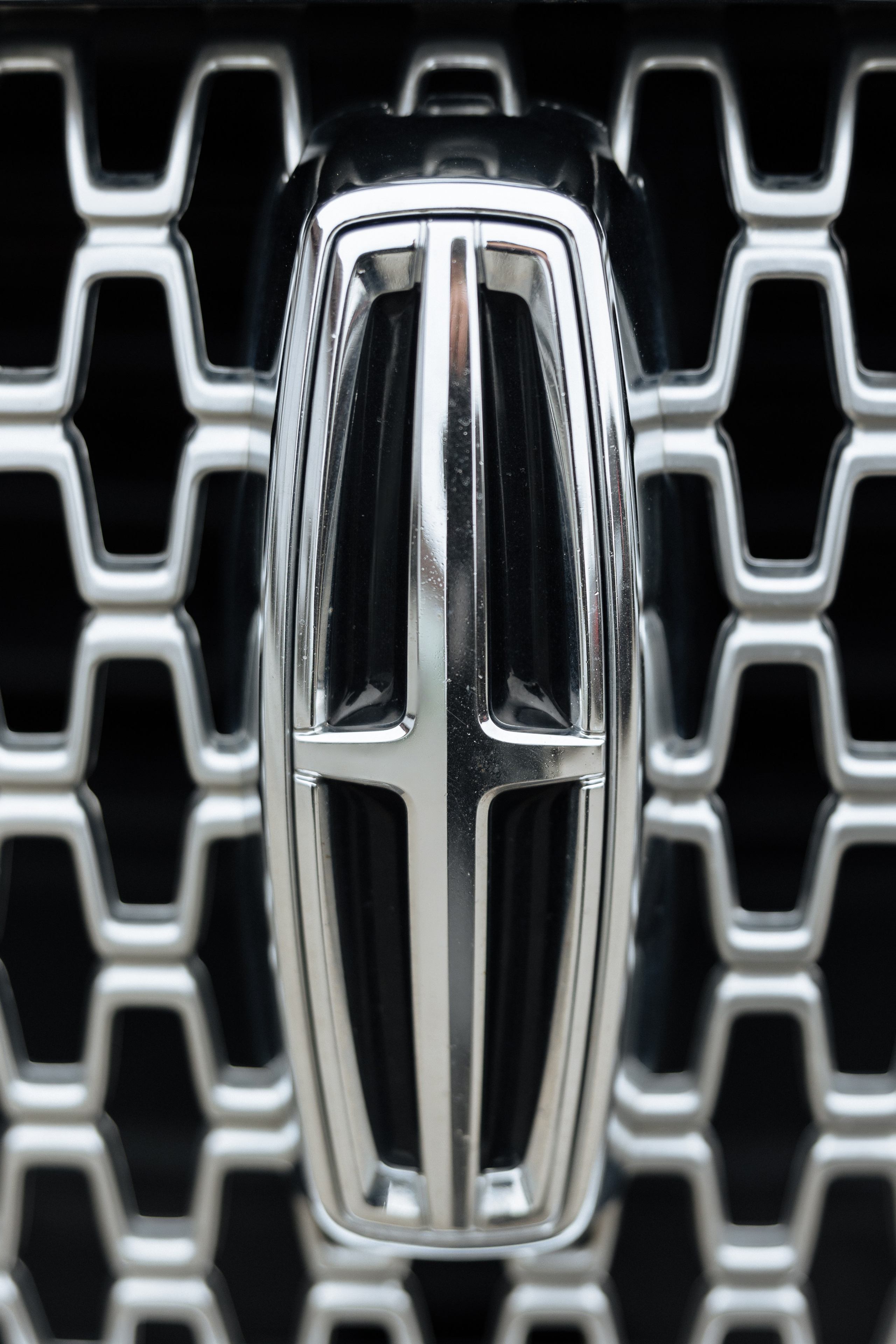 Bohdana Nazar. Ірина Терещук