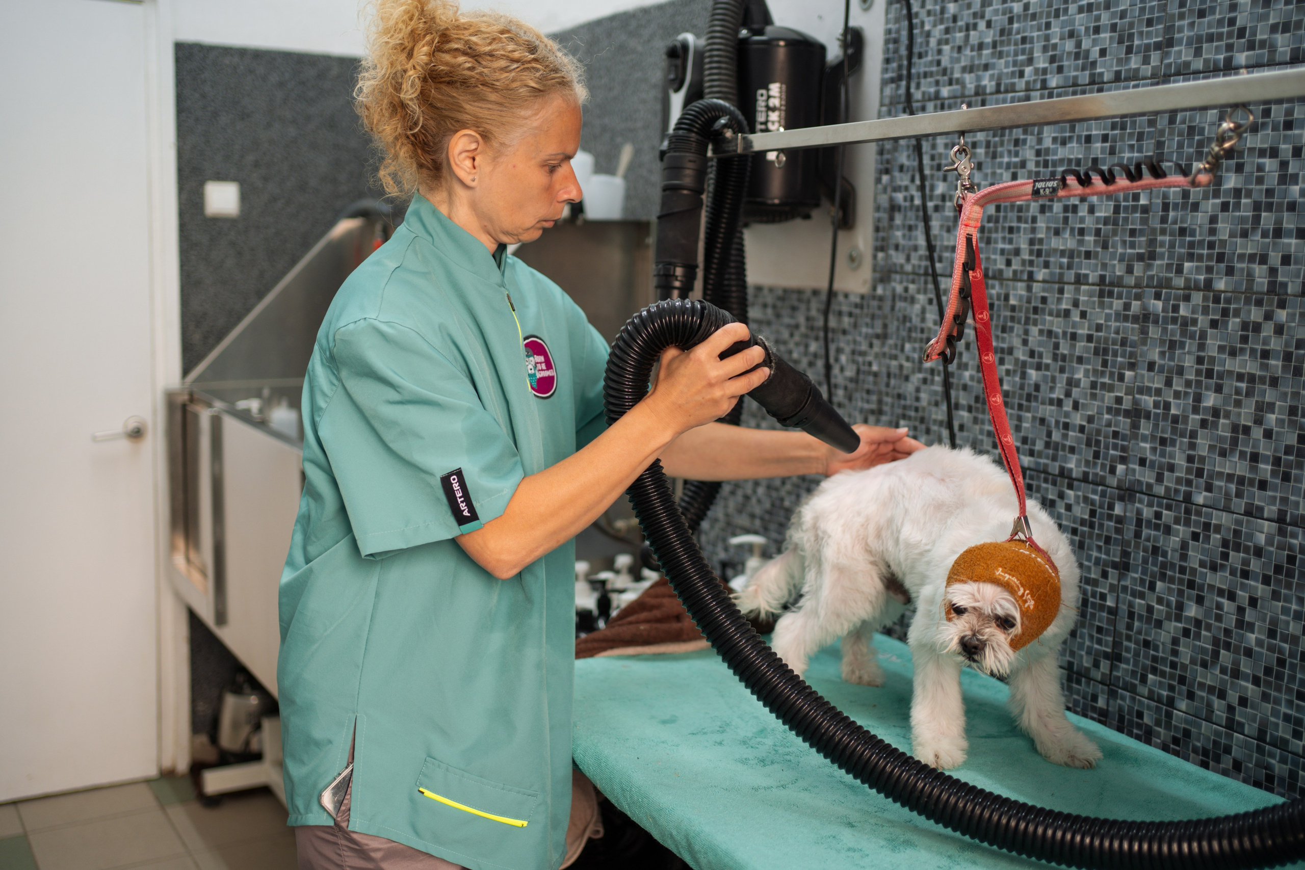 PetGroom Timisoara. Cozac Cristian Photographer