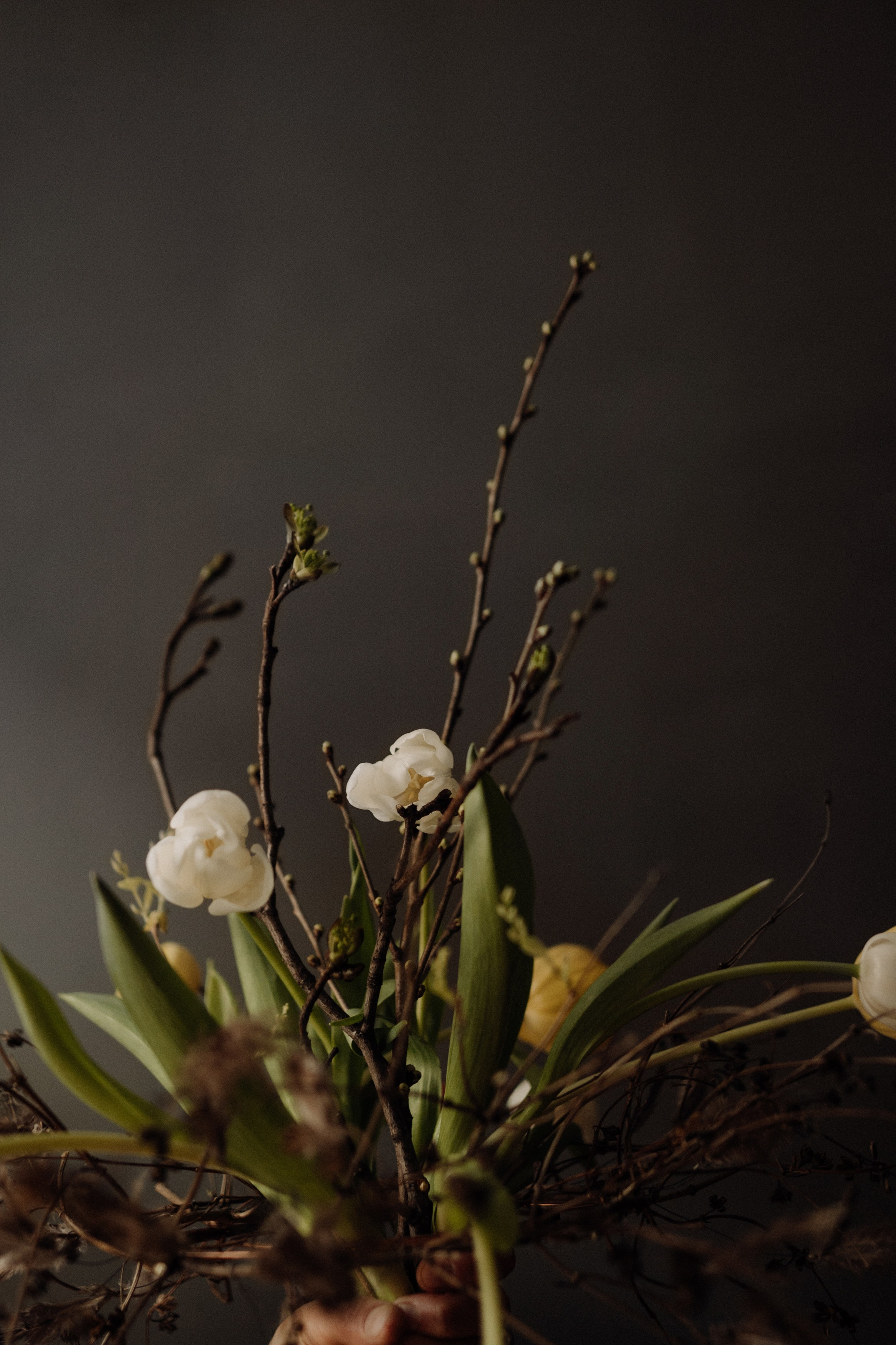 Elena. Фотограф в Праге Анна Лебедева