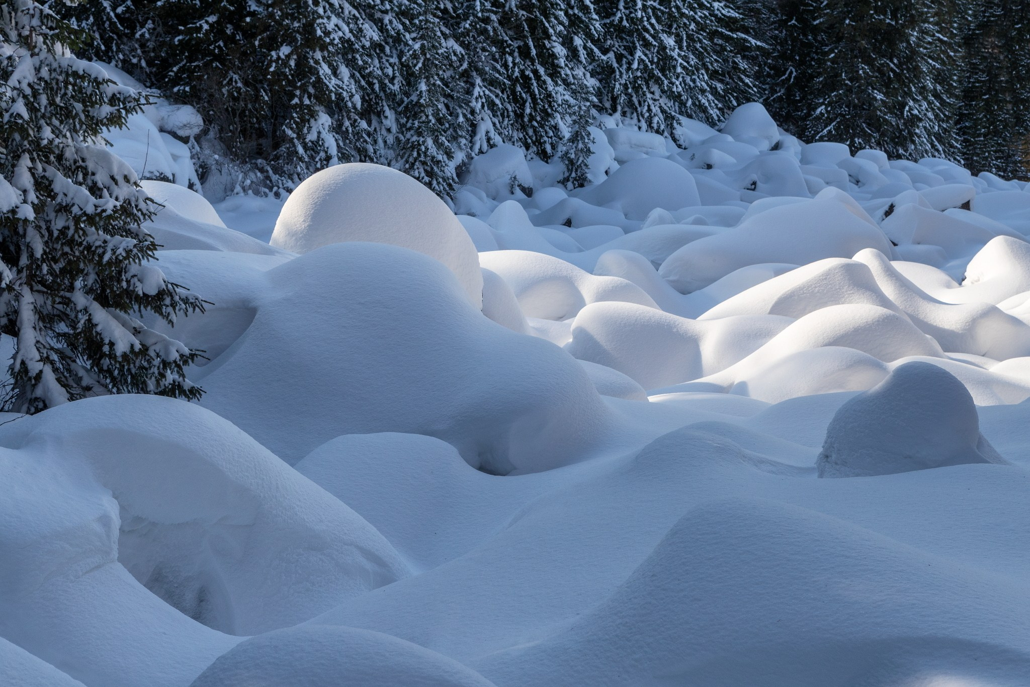 Планини. Александър Сандев - website